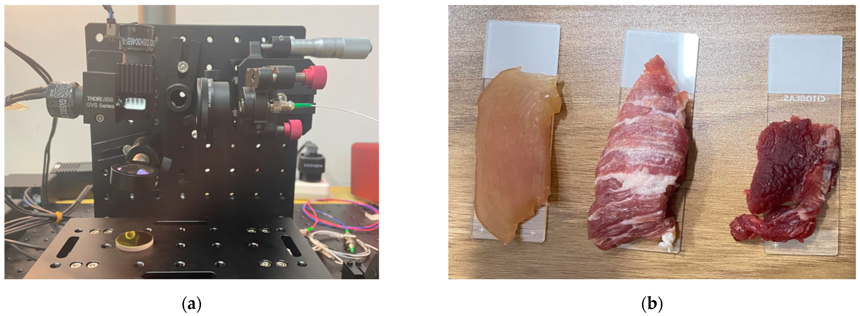 Applsci 14 02525 g002