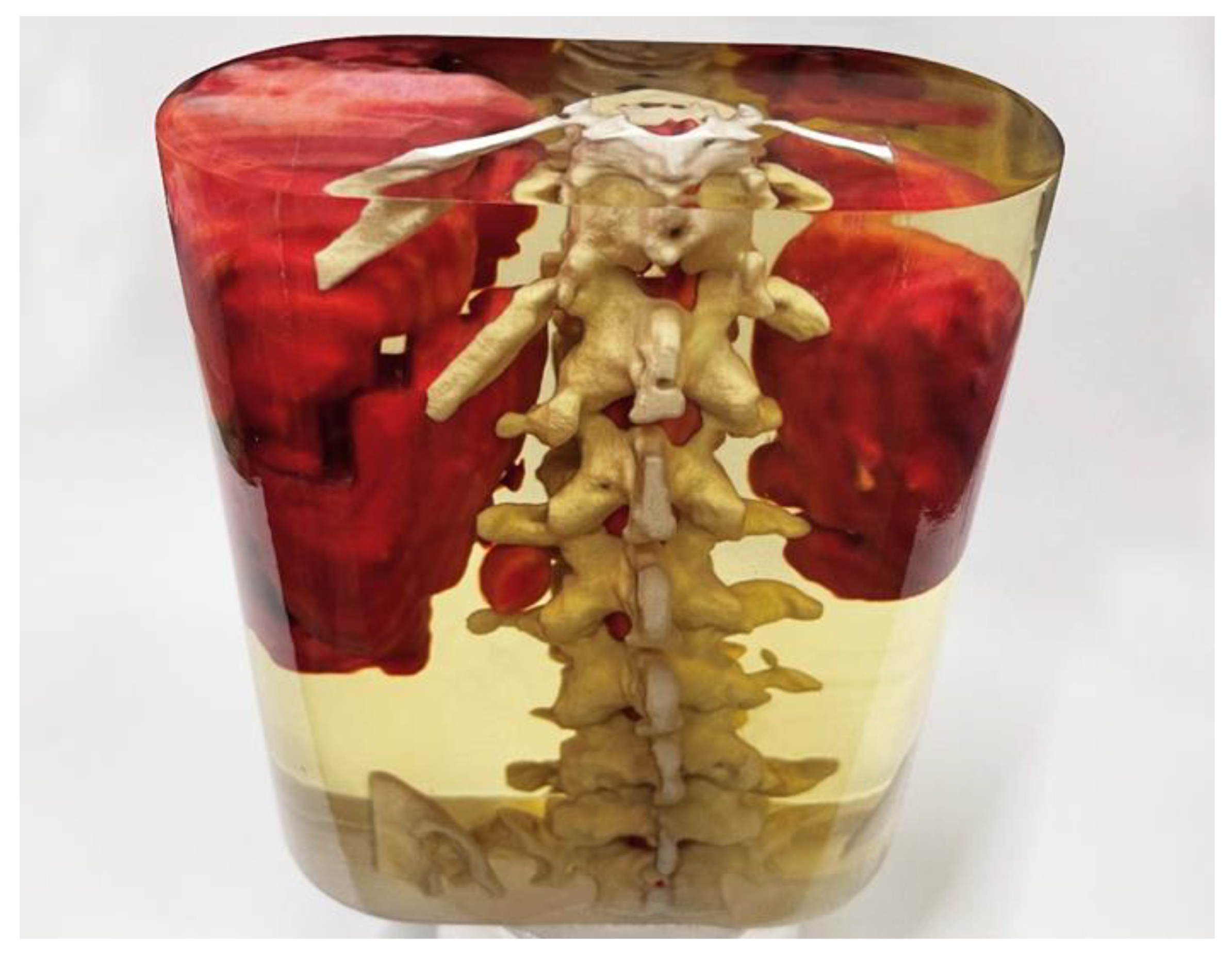 Applsci 14 02550 g006