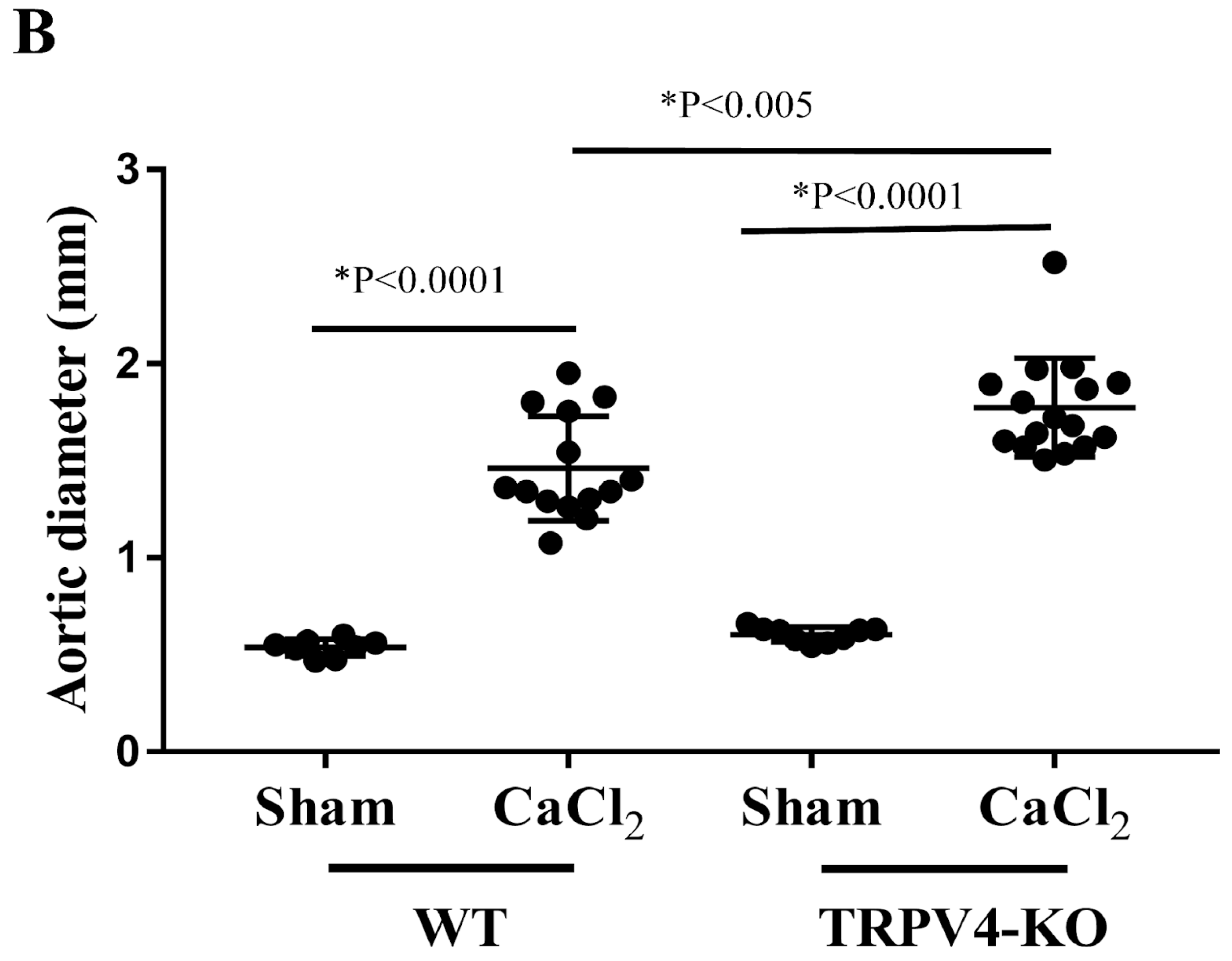 Applsci 14 02566 g002b