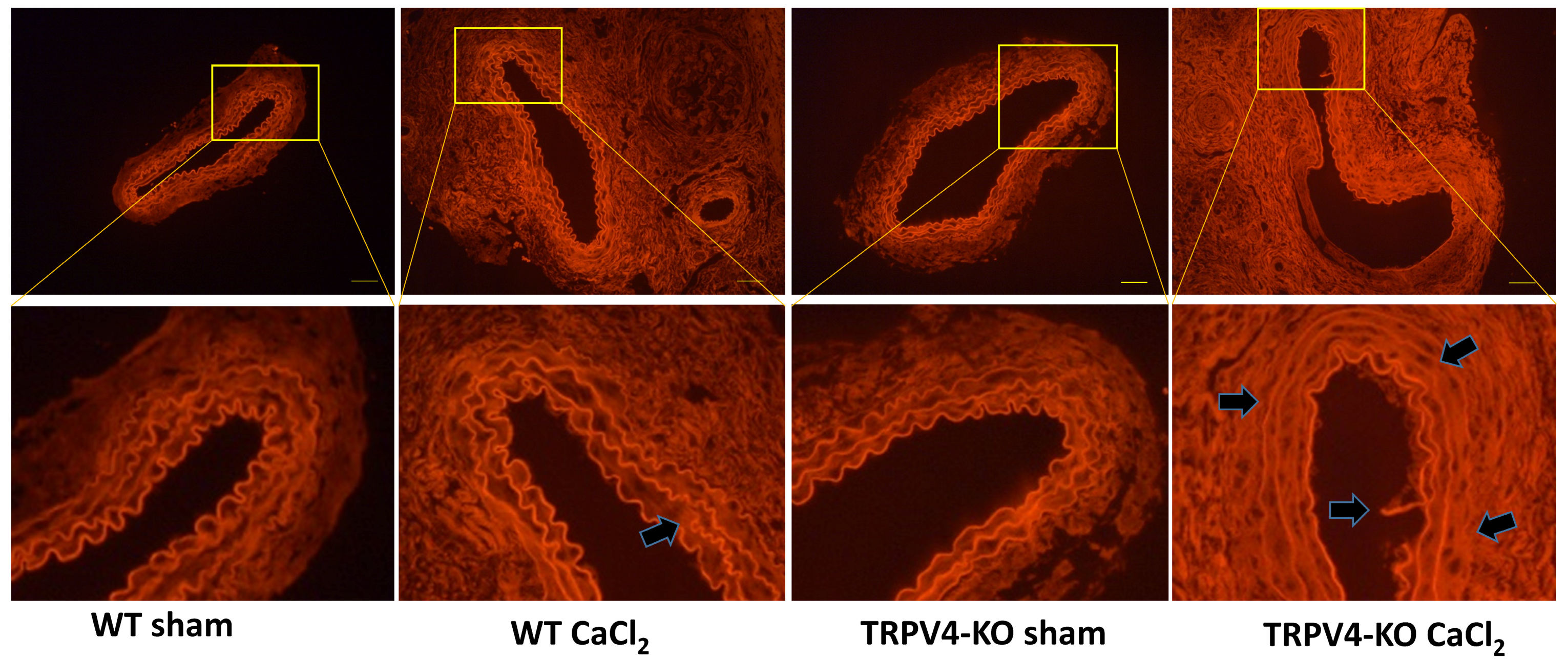 Applsci 14 02566 g004