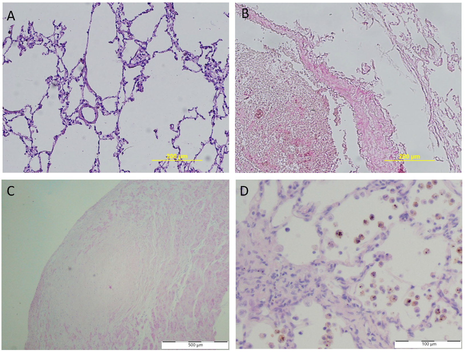 Applsci 14 02577 g001