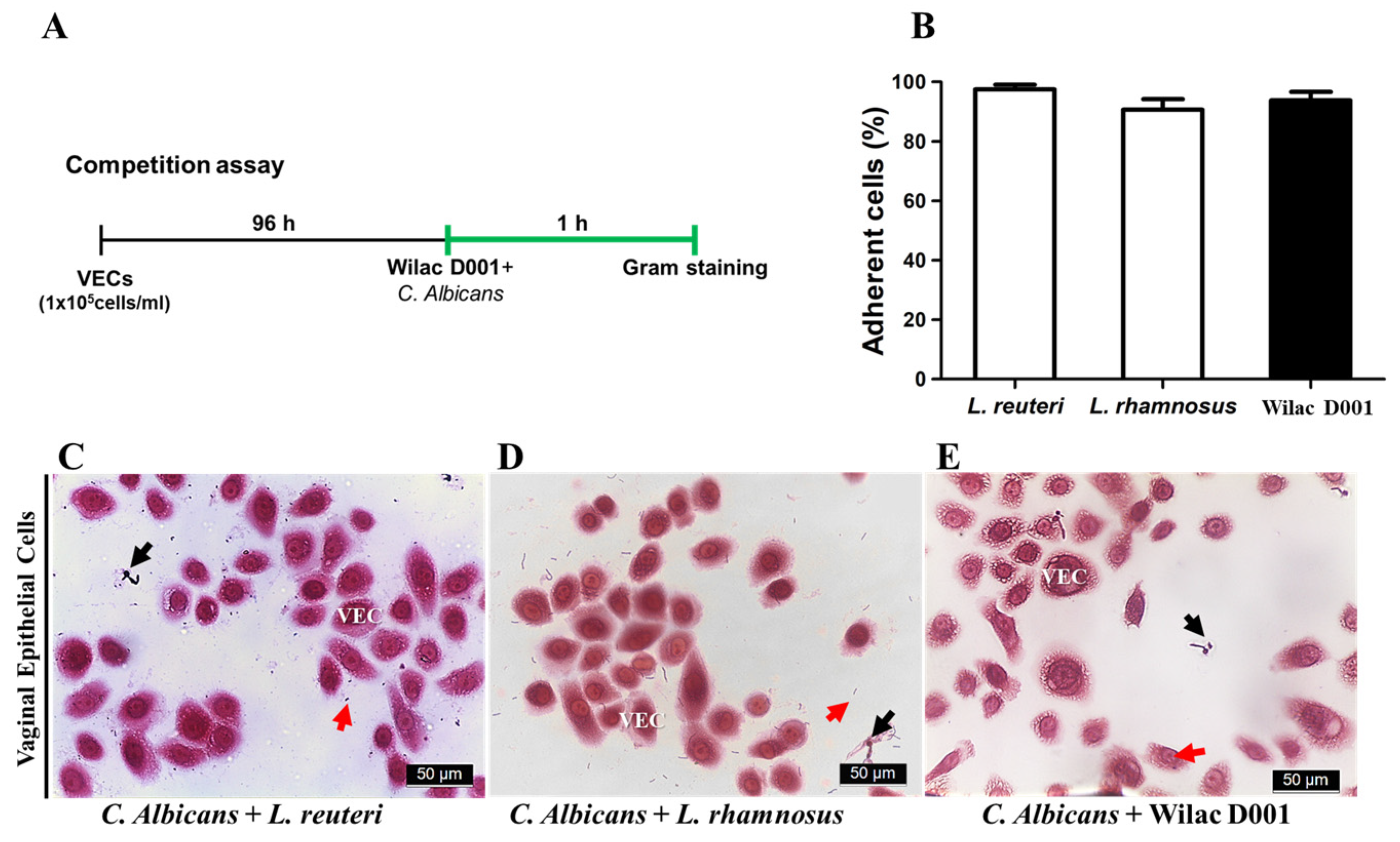 Applsci 14 02676 g002