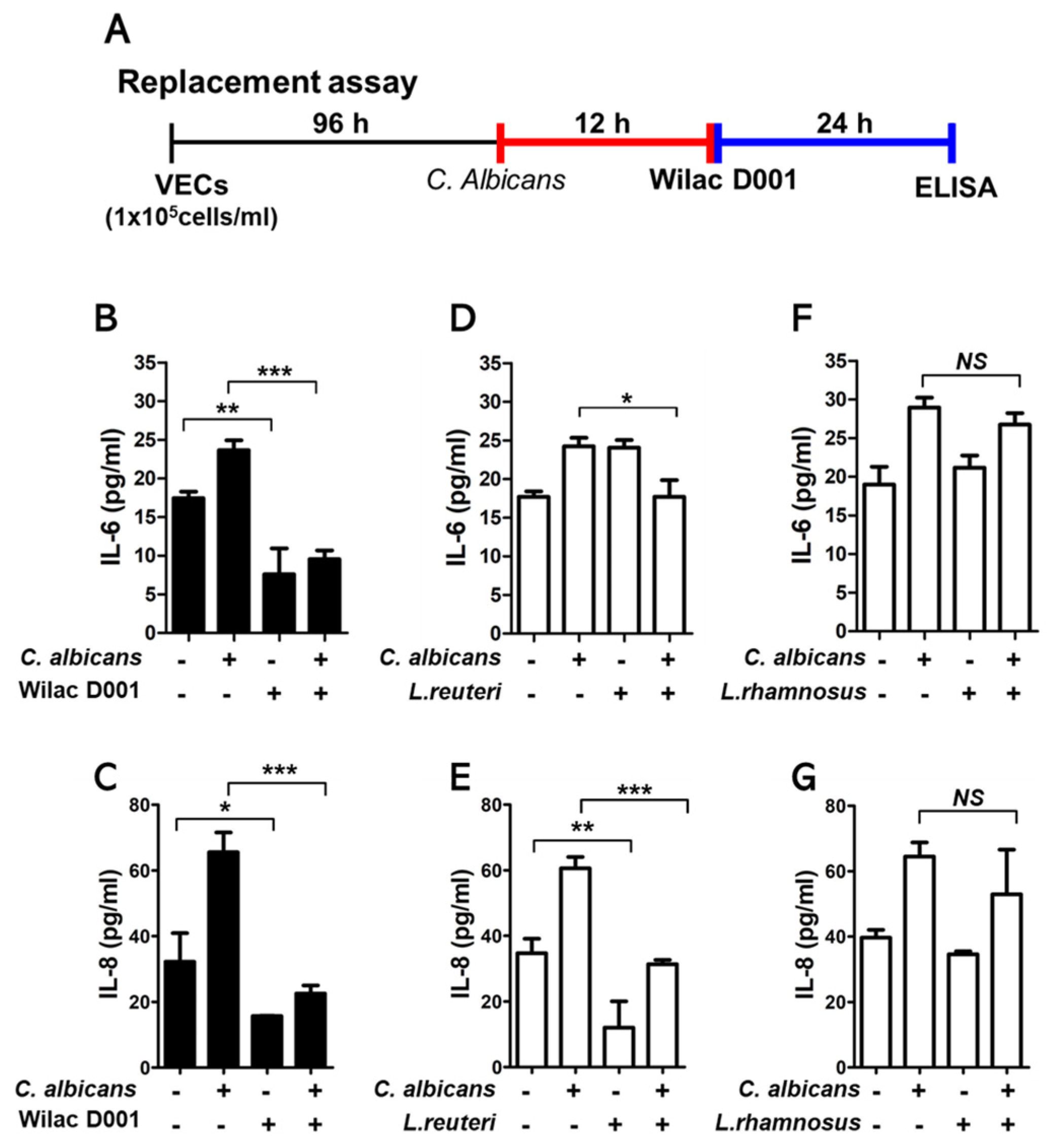 Applsci 14 02676 g003