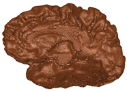 Applsci 14 02681 i004