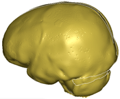 Applsci 14 02681 i007