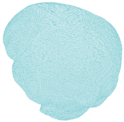 Applsci 14 02681 i012