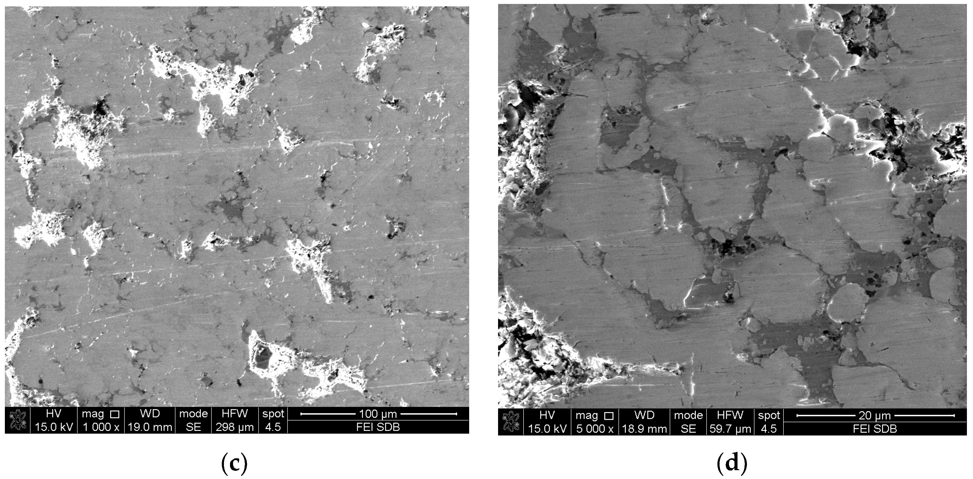 Applsci 14 02731 g002b