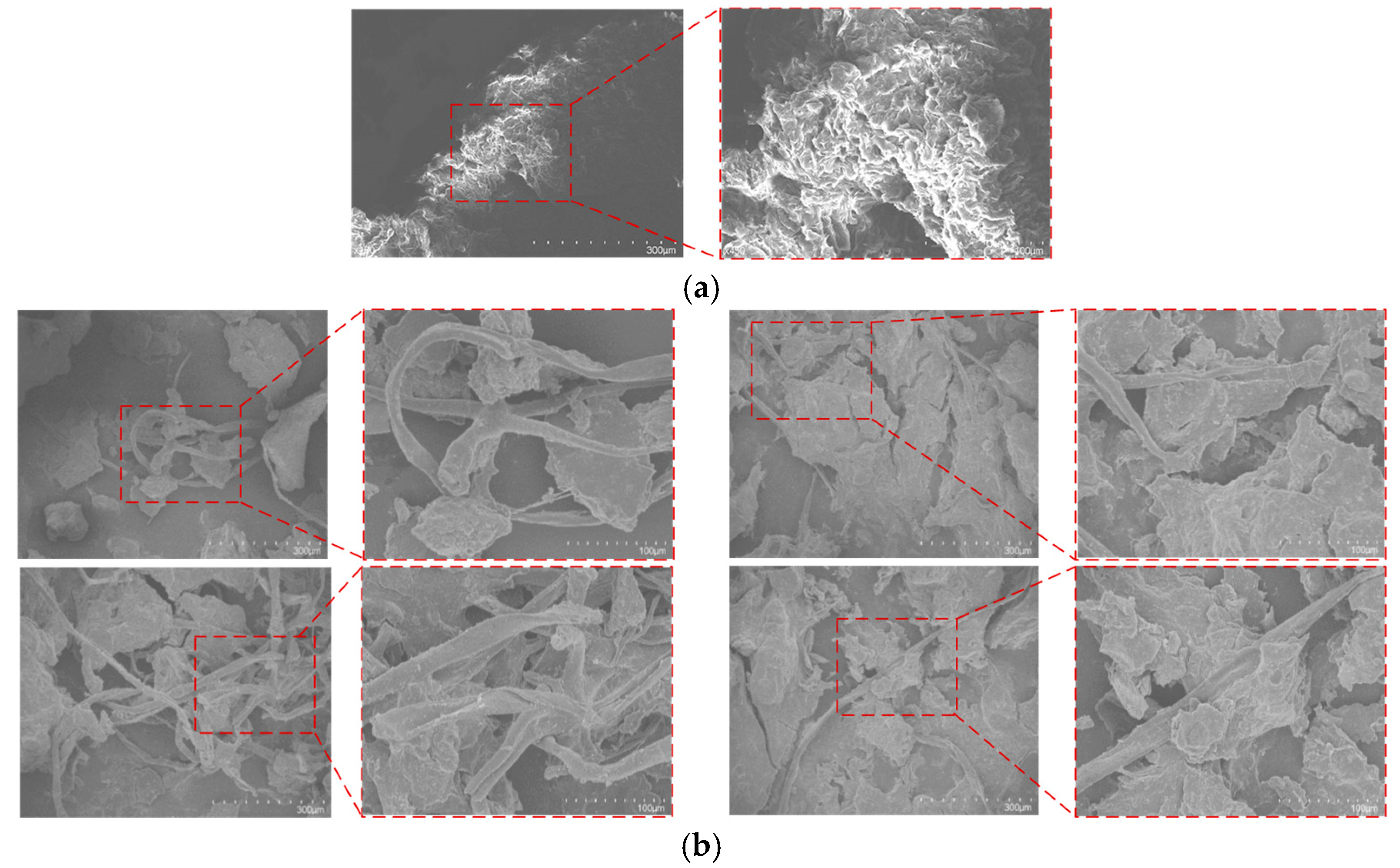 Applsci 14 02734 g005