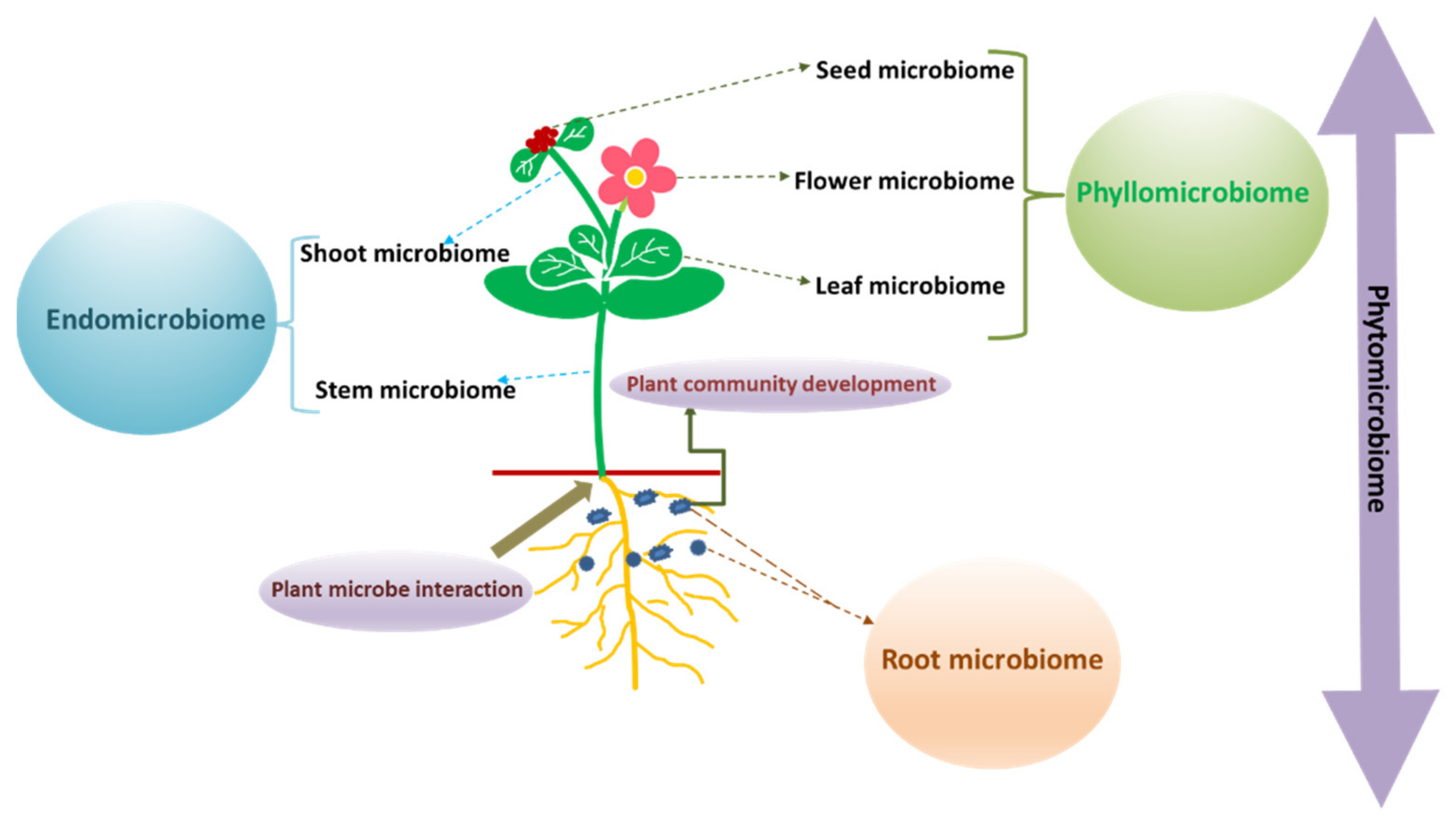 Applsci 14 02740 g003 Applsci 14 02740 g003