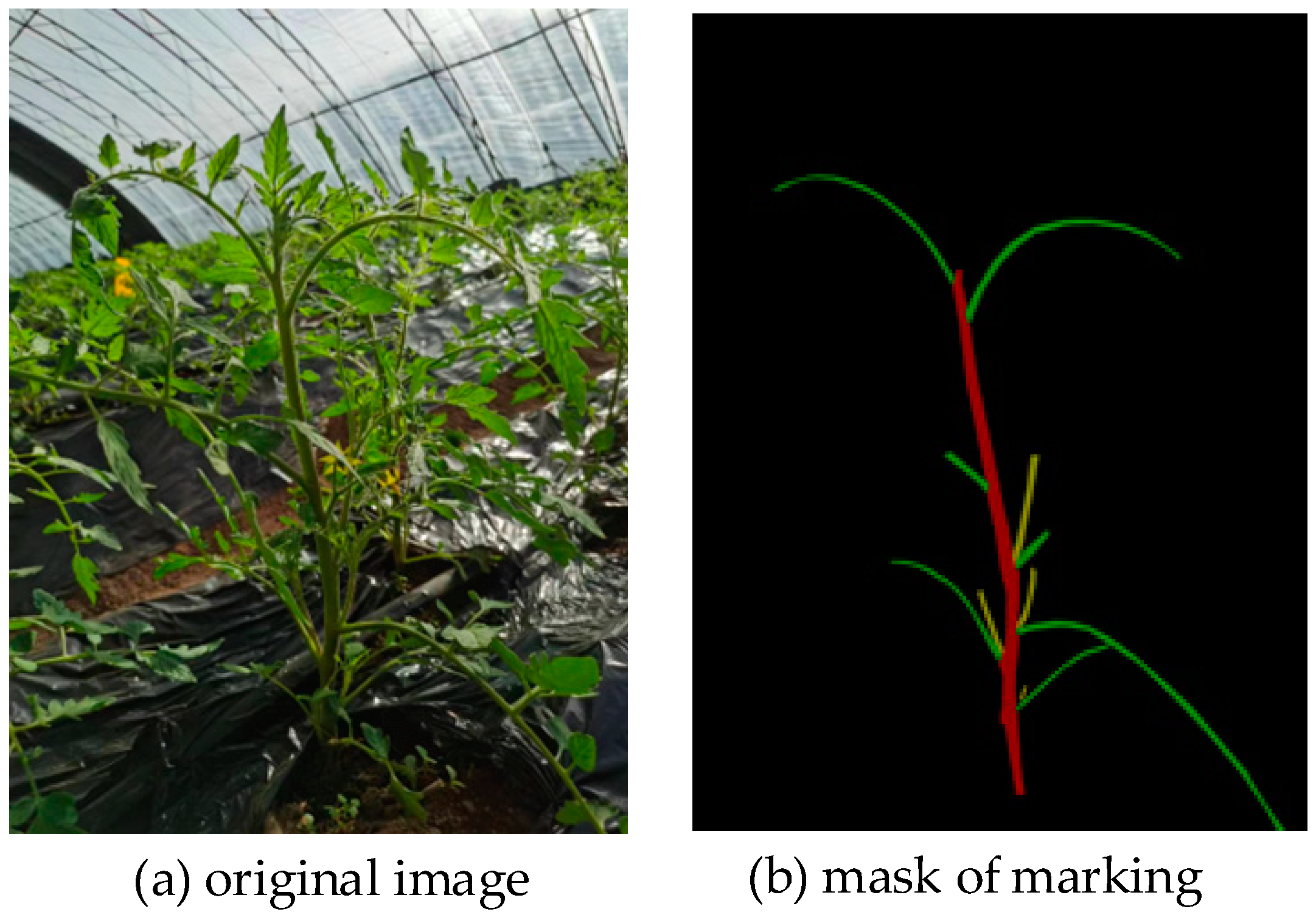 Applsci 14 02804 g003