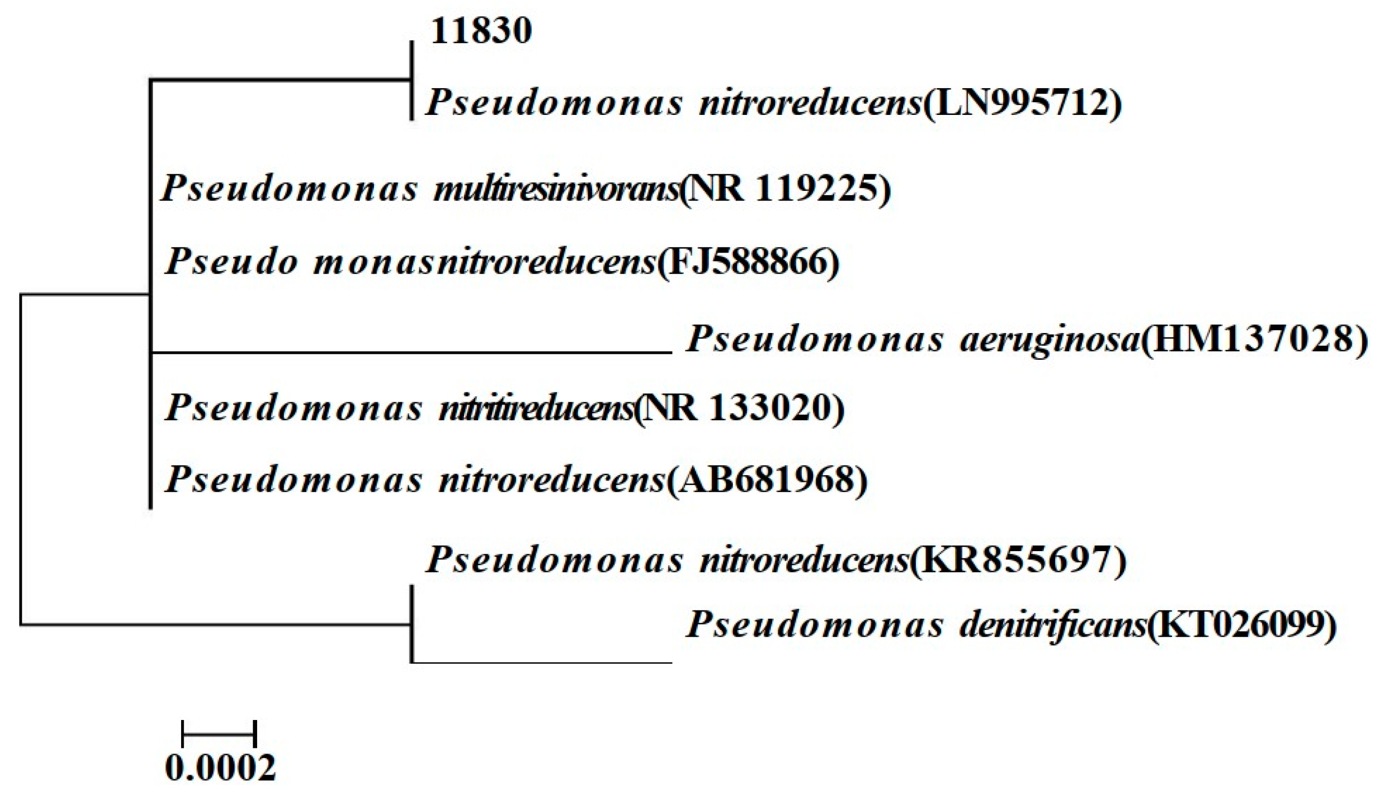 Applsci 14 02857 g001 Applsci 14 02857 g001