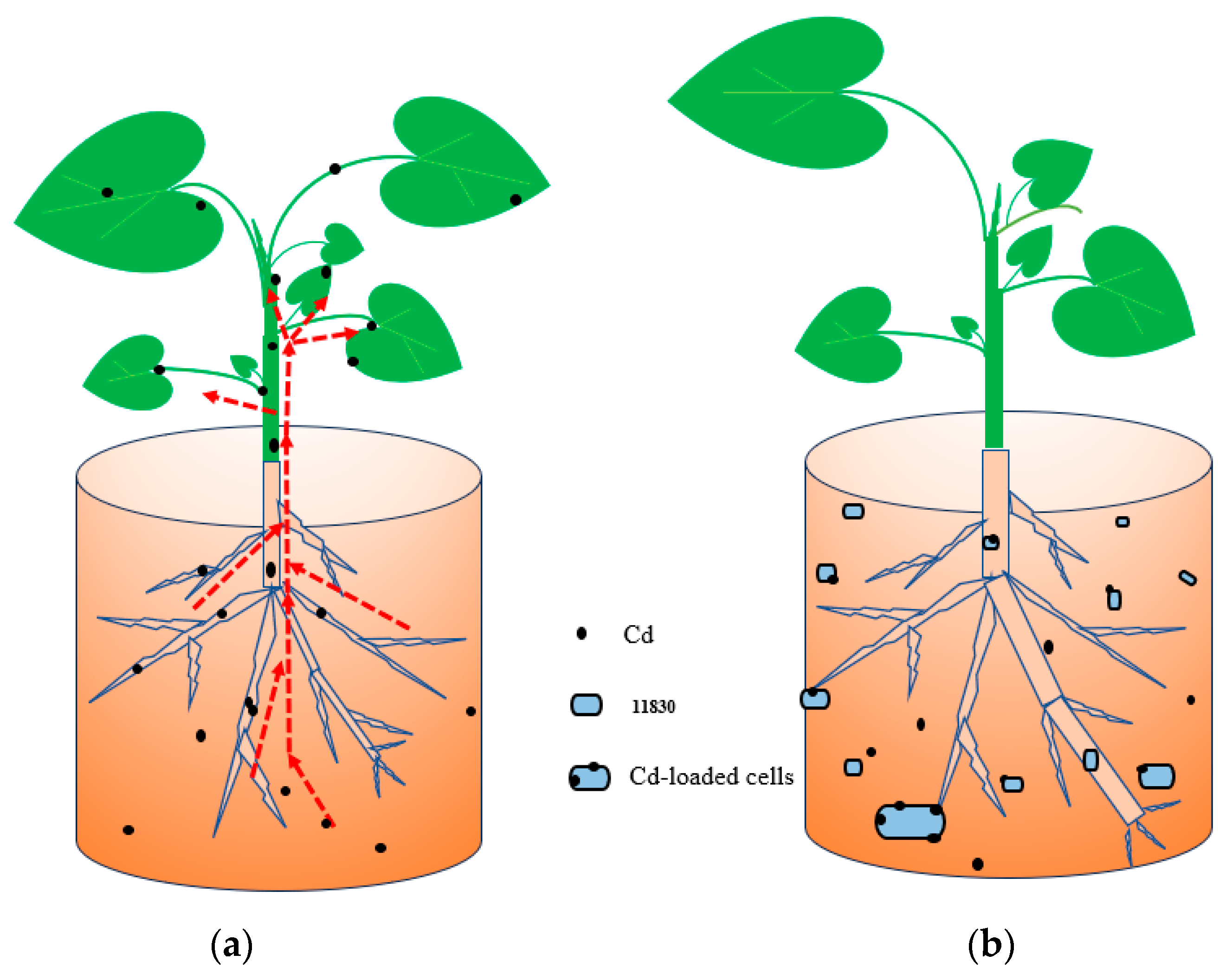 Applsci 14 02857 g007 Applsci 14 02857 g007