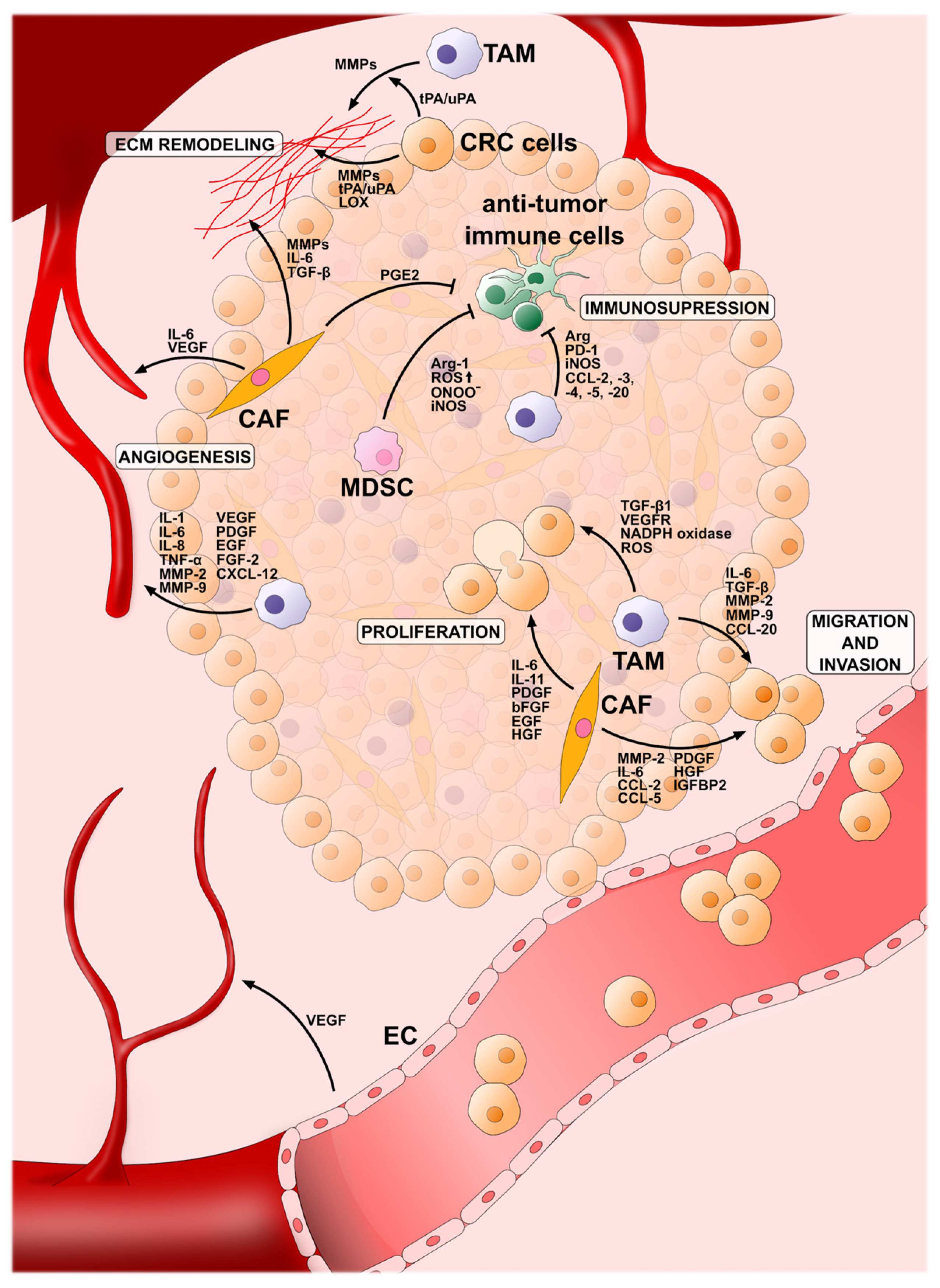 Applsci 14 02930 g001 Applsci 14 02930 g001