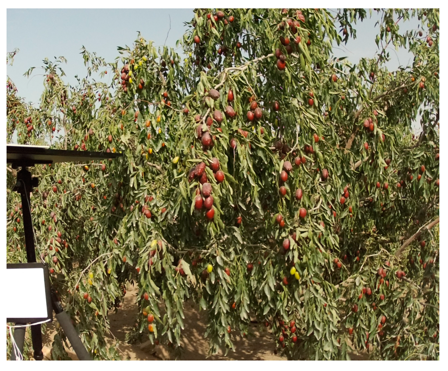 Applsci 14 02962 g002