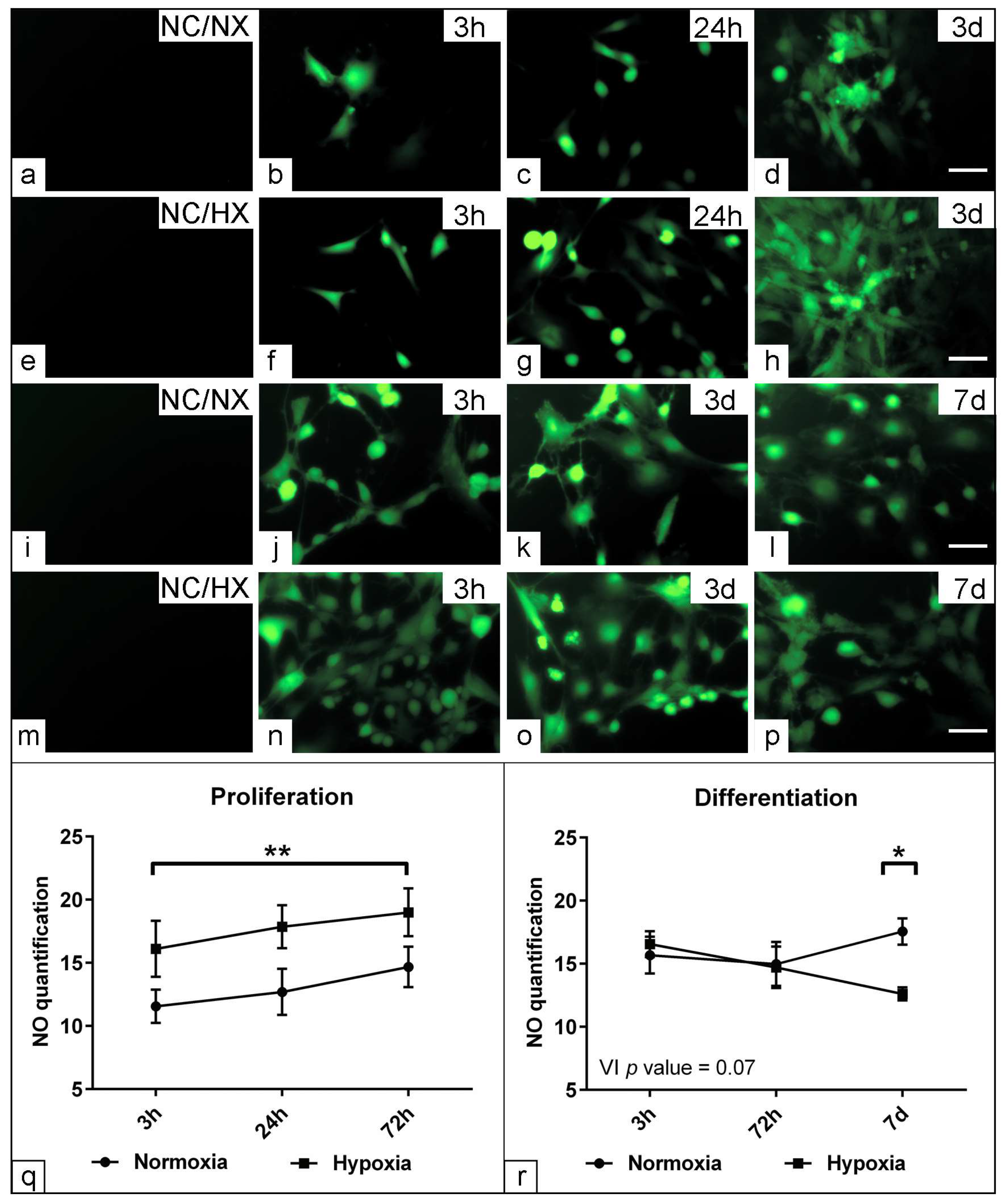 Applsci 14 03047 g007
