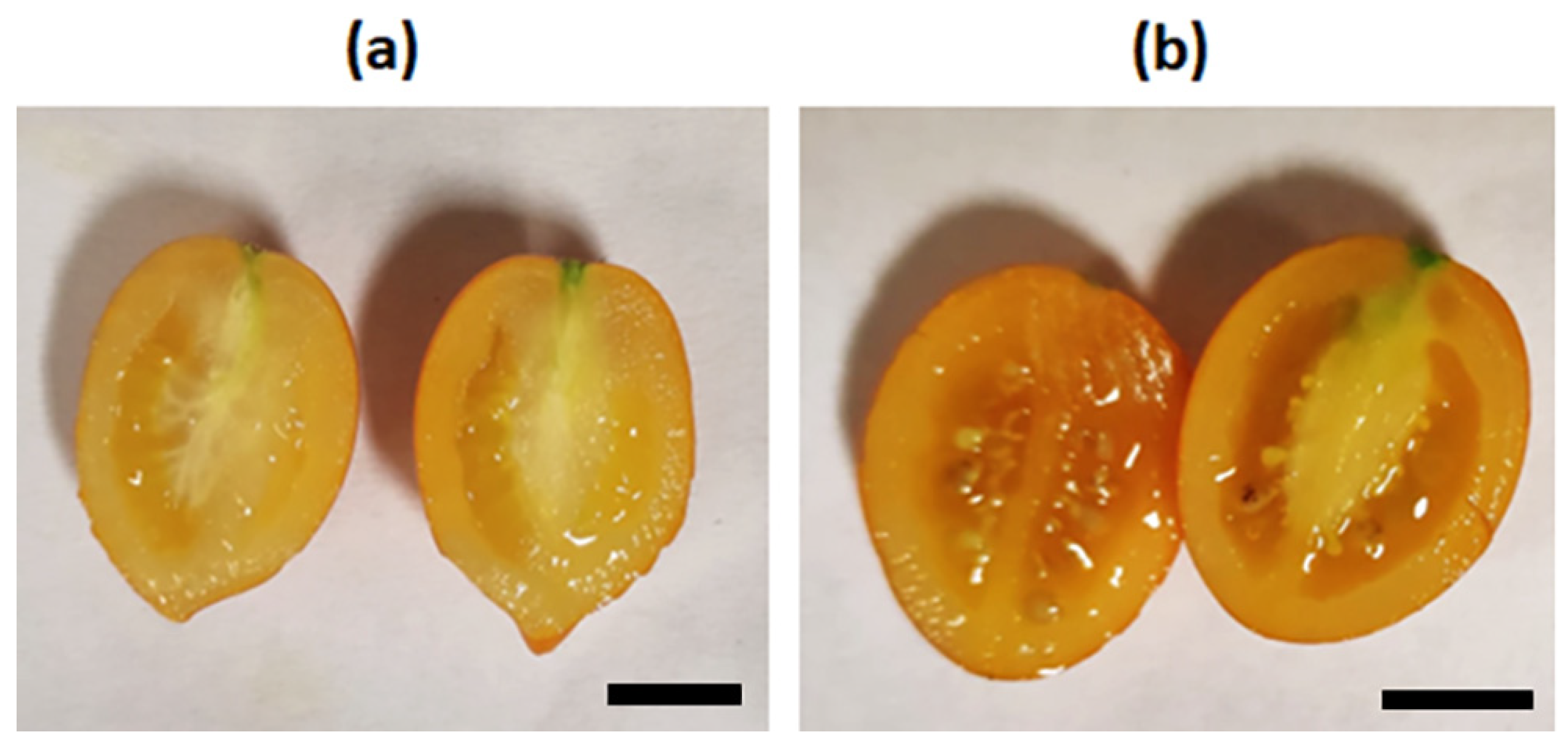 Applsci 14 03095 g006