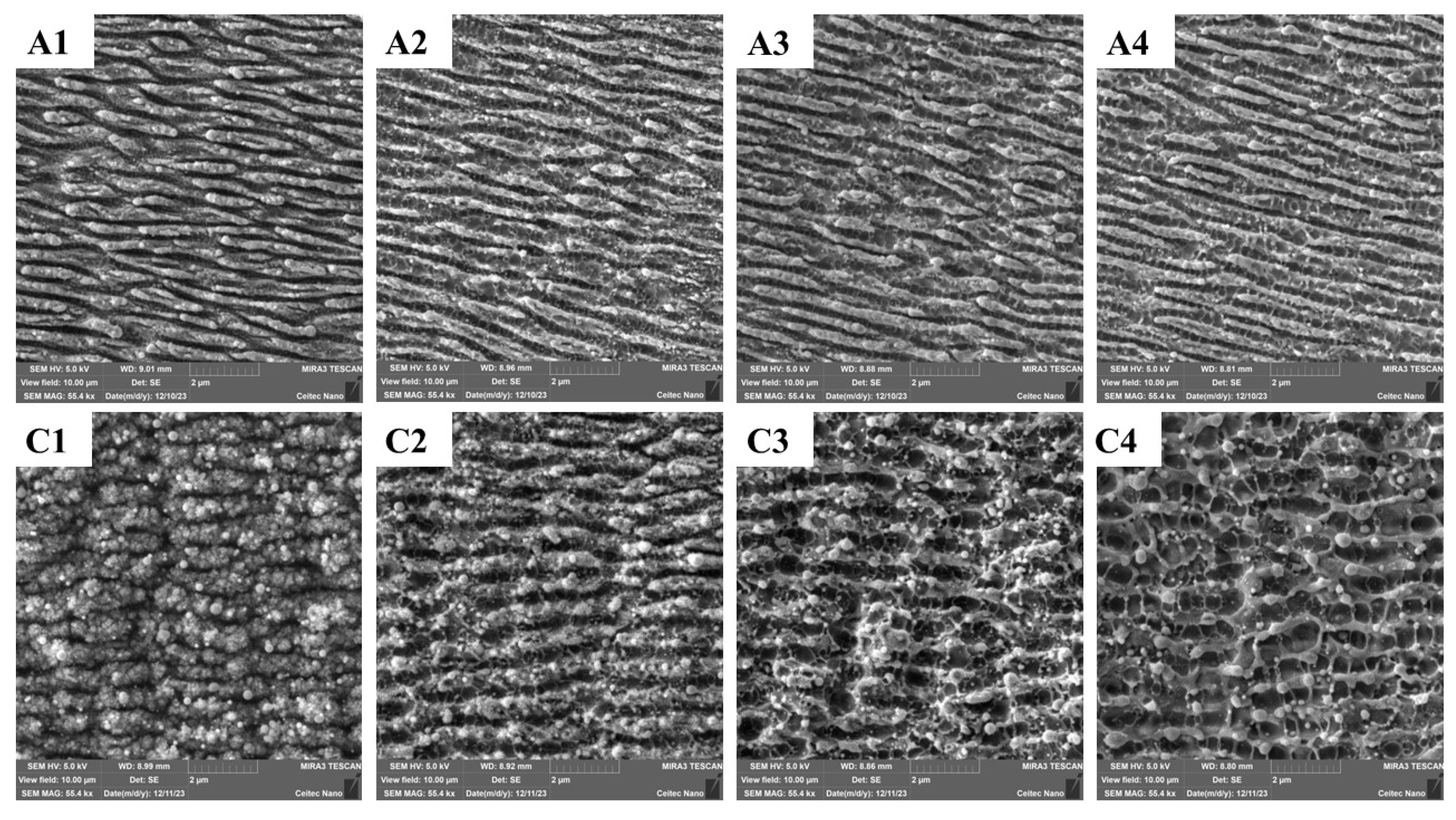 Applsci 14 03164 g003