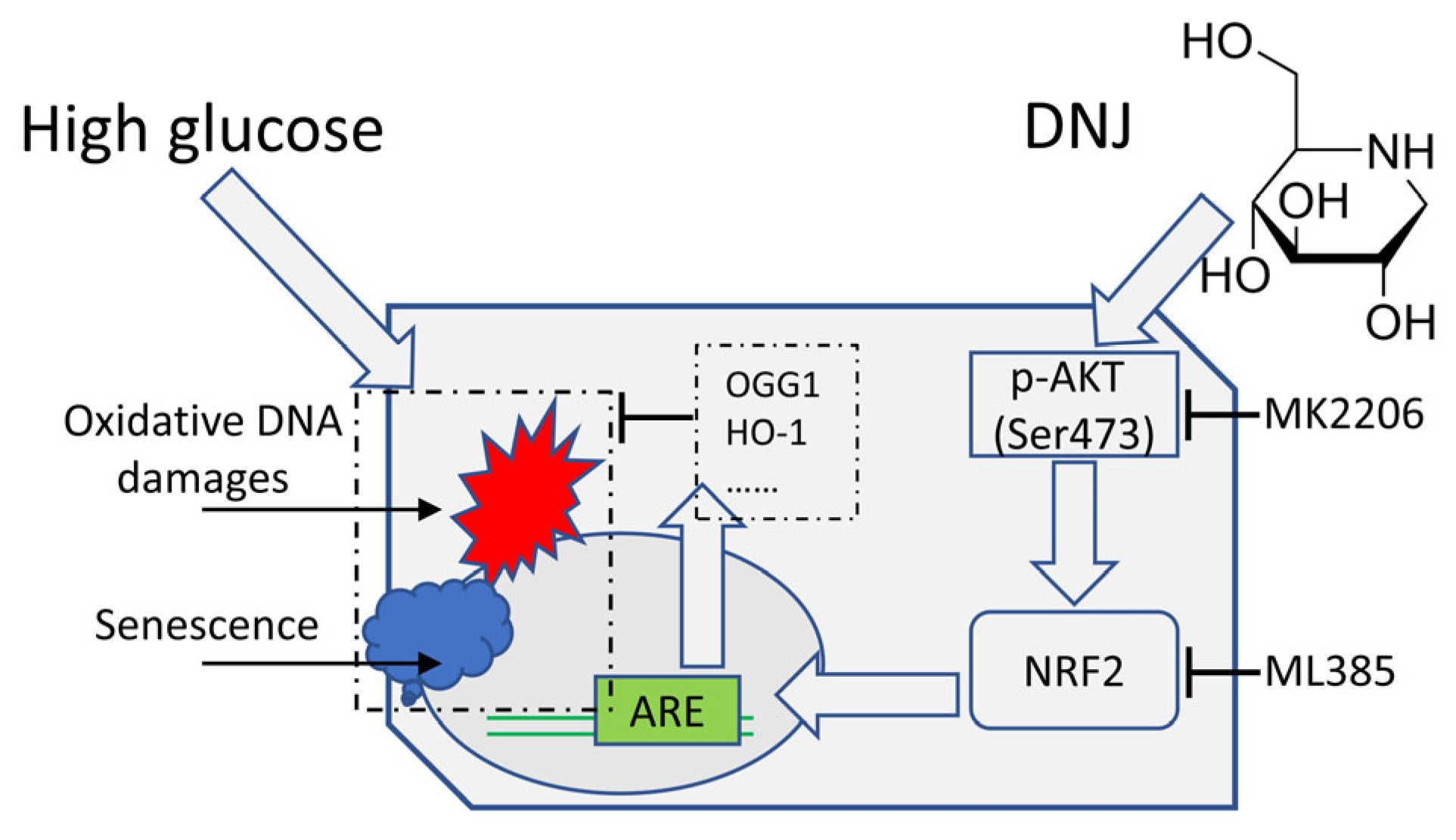 Applsci 14 03186 g005