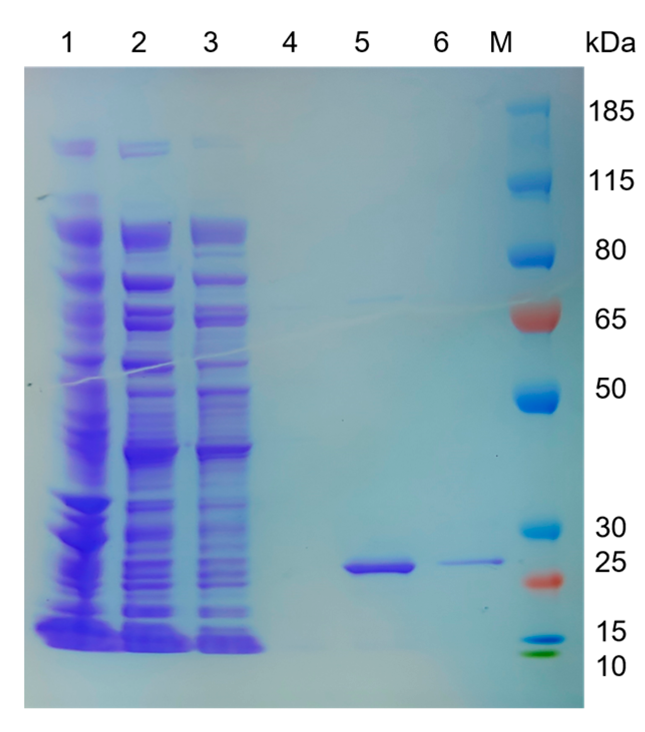 Applsci 14 03279 g002