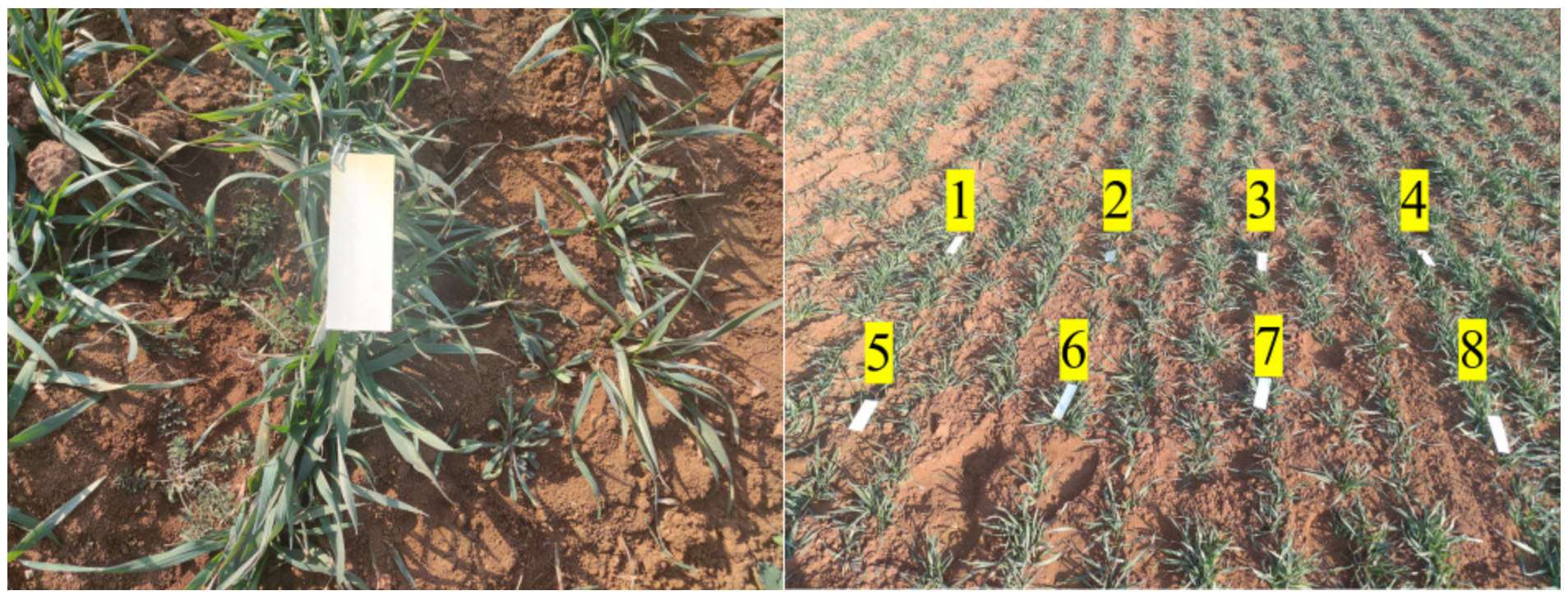 Applsci 14 03330 g008