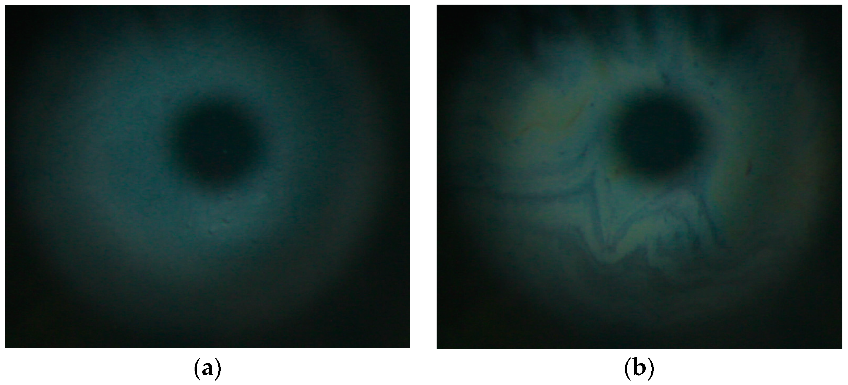 Applsci 14 03339 g006 Applsci 14 03339 g006