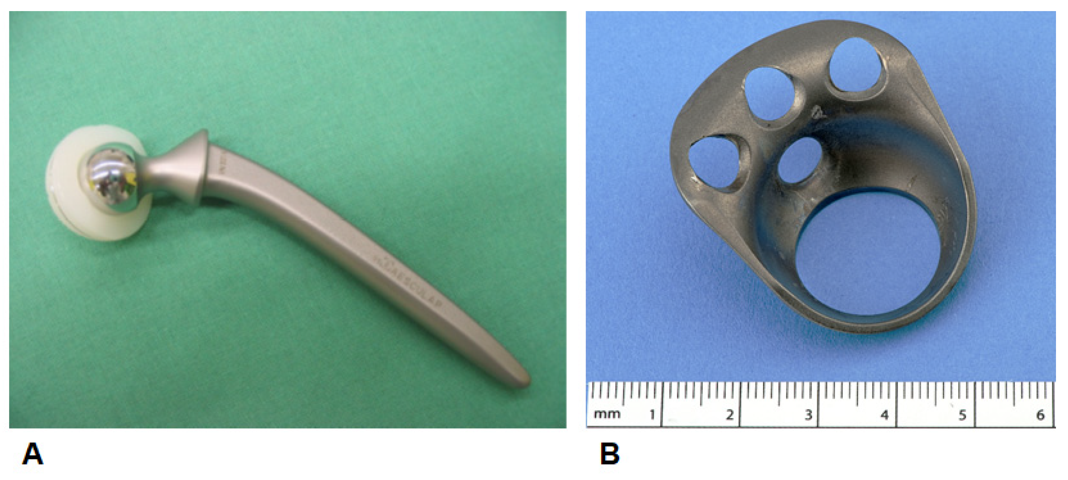 Applsci 14 03375 g001