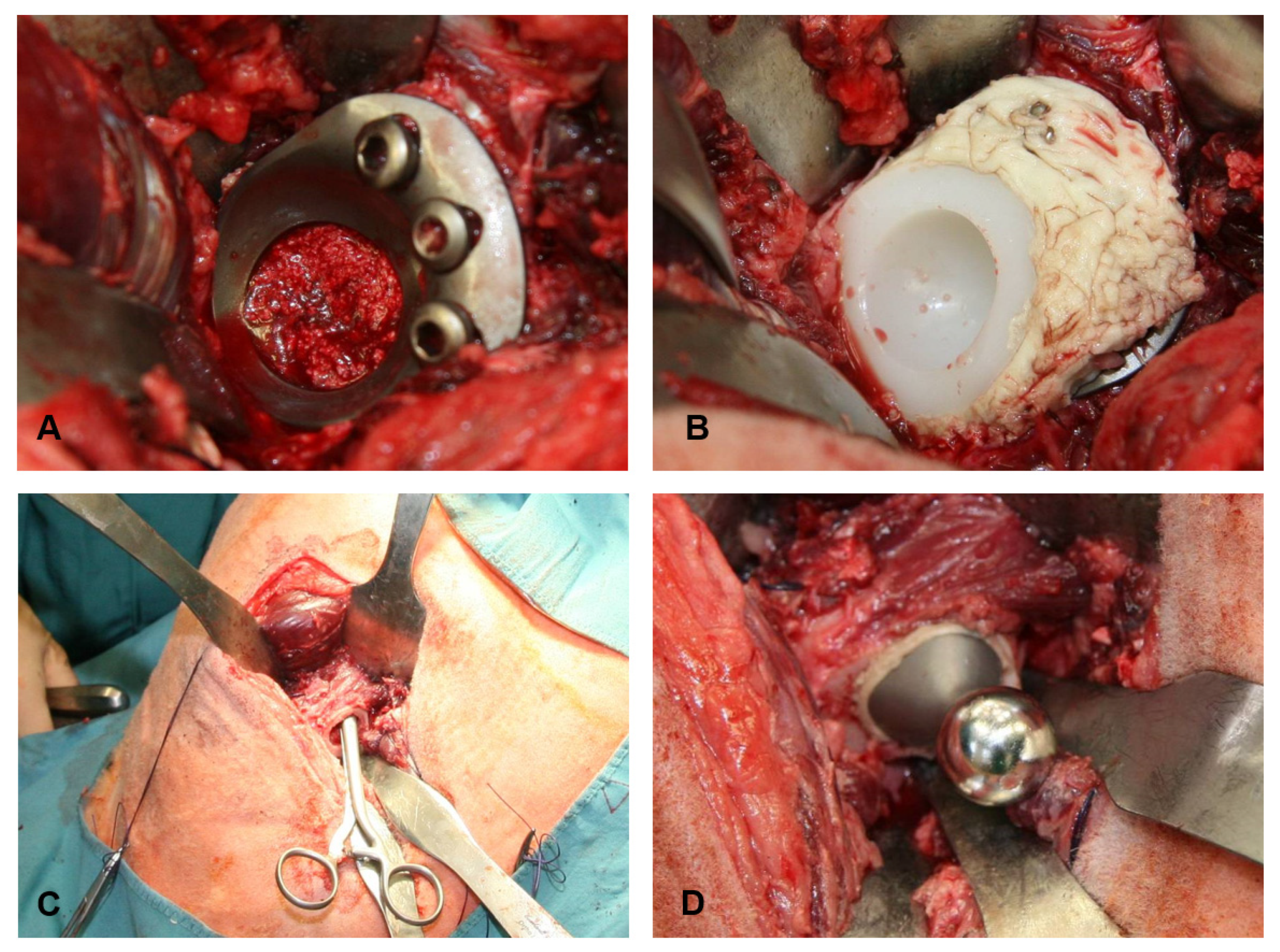 Applsci 14 03375 g005