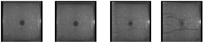 Applsci 14 03395 i004