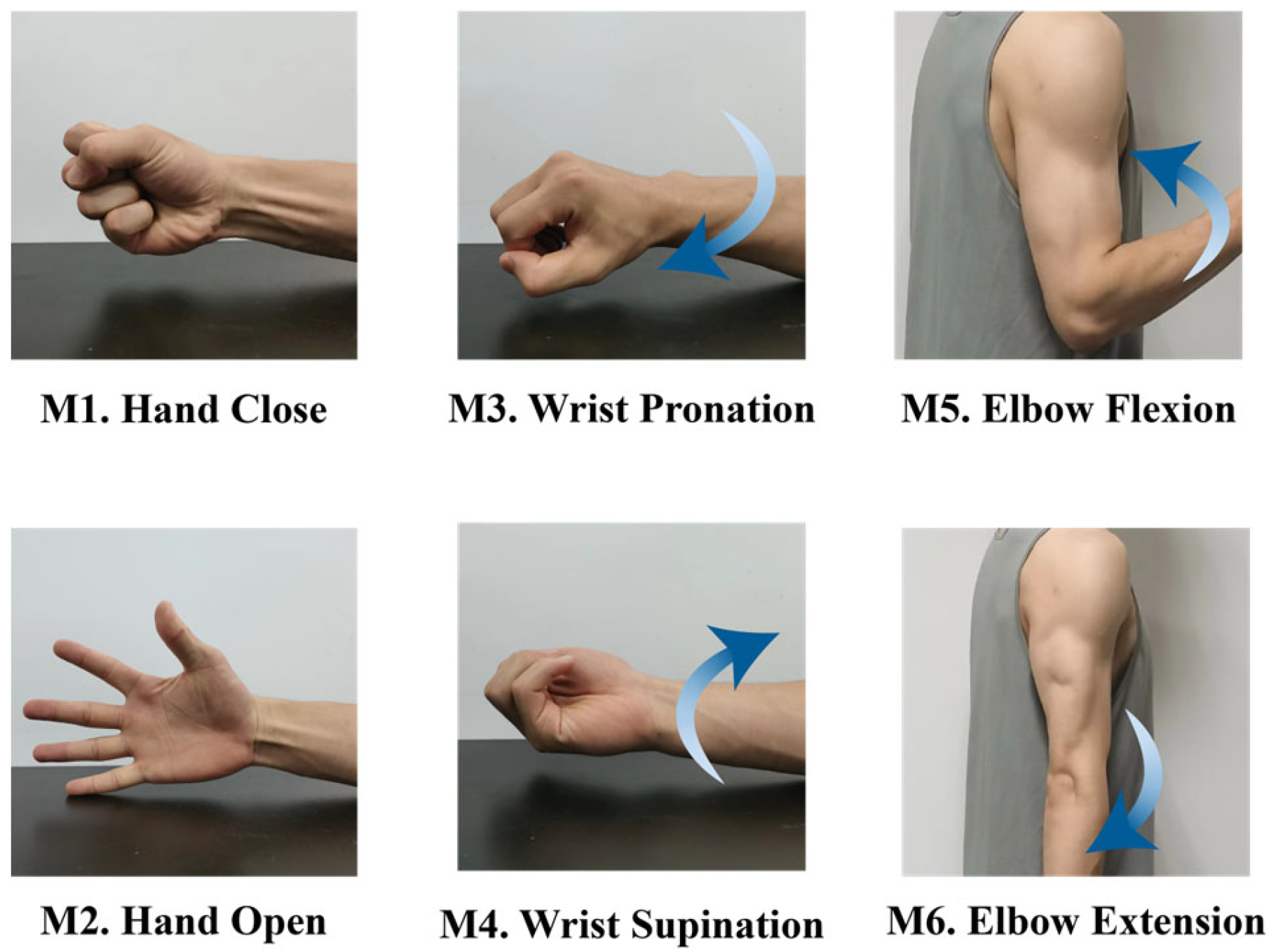 Applsci 14 03417 g002