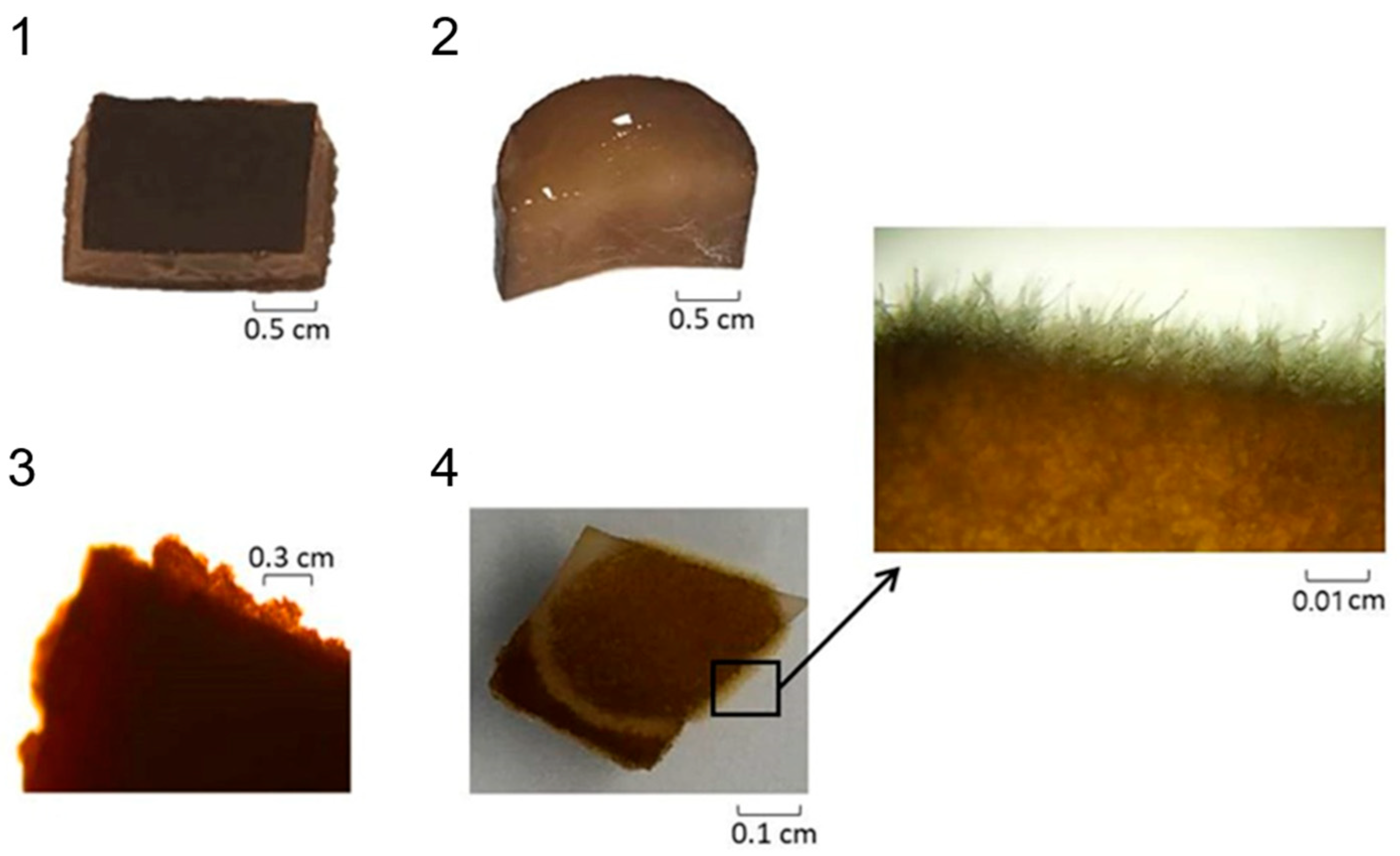 Applsci 14 03480 g002