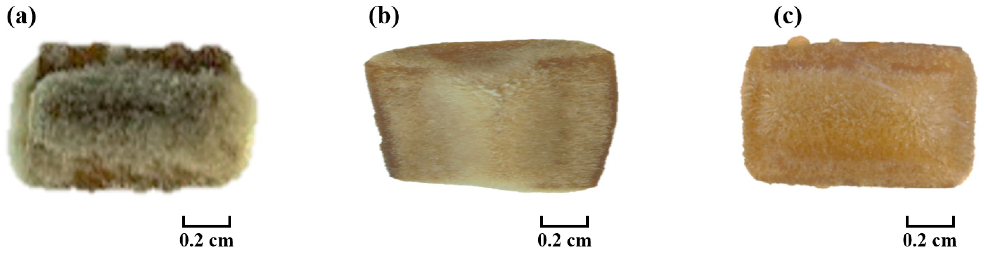 Applsci 14 03480 g010