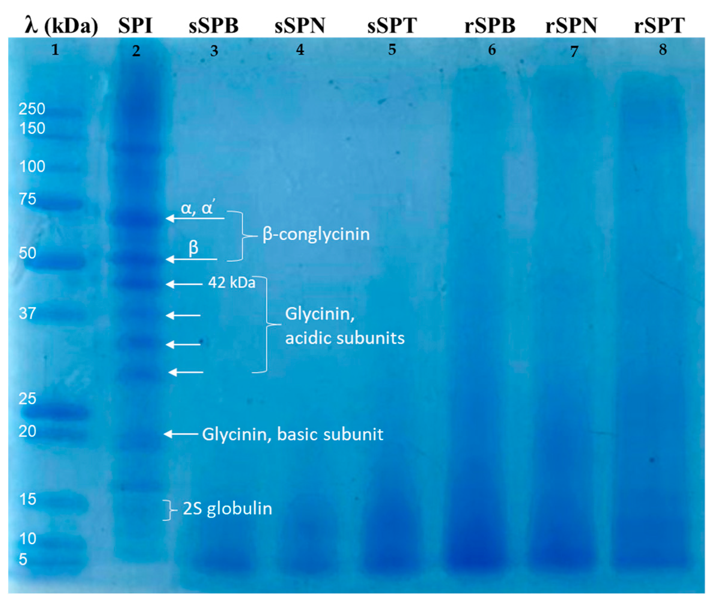 Applsci 14 03640 g001 Applsci 14 03640 g001