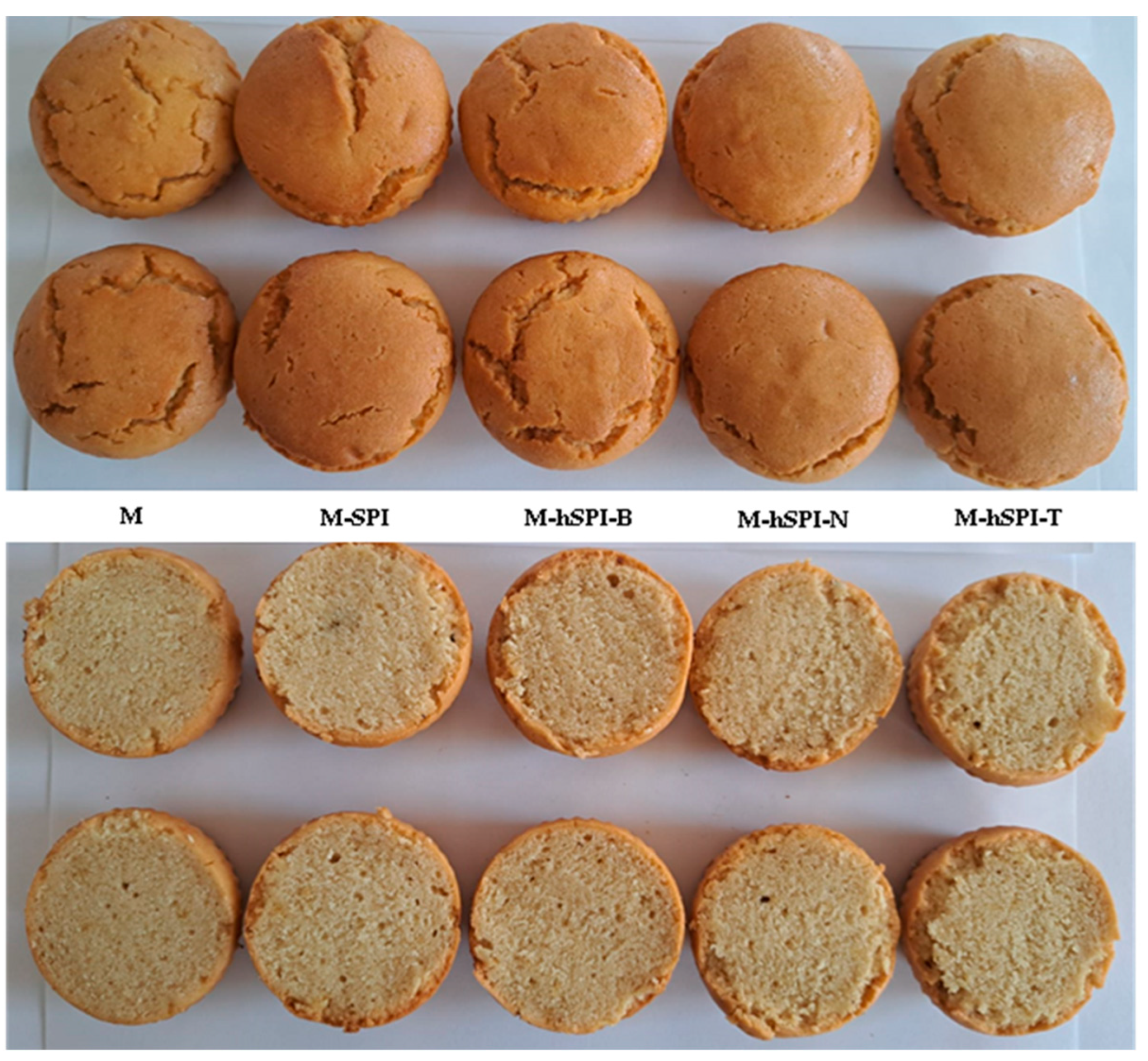 Applsci 14 03640 g004 Applsci 14 03640 g004