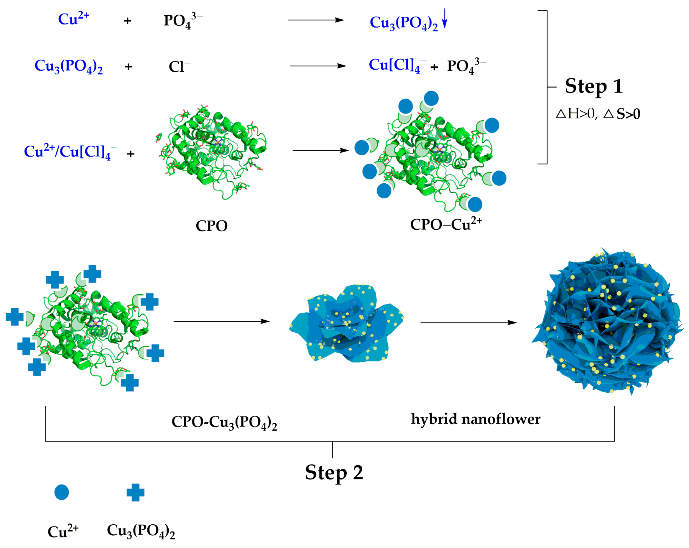 Applsci 14 03702 g002