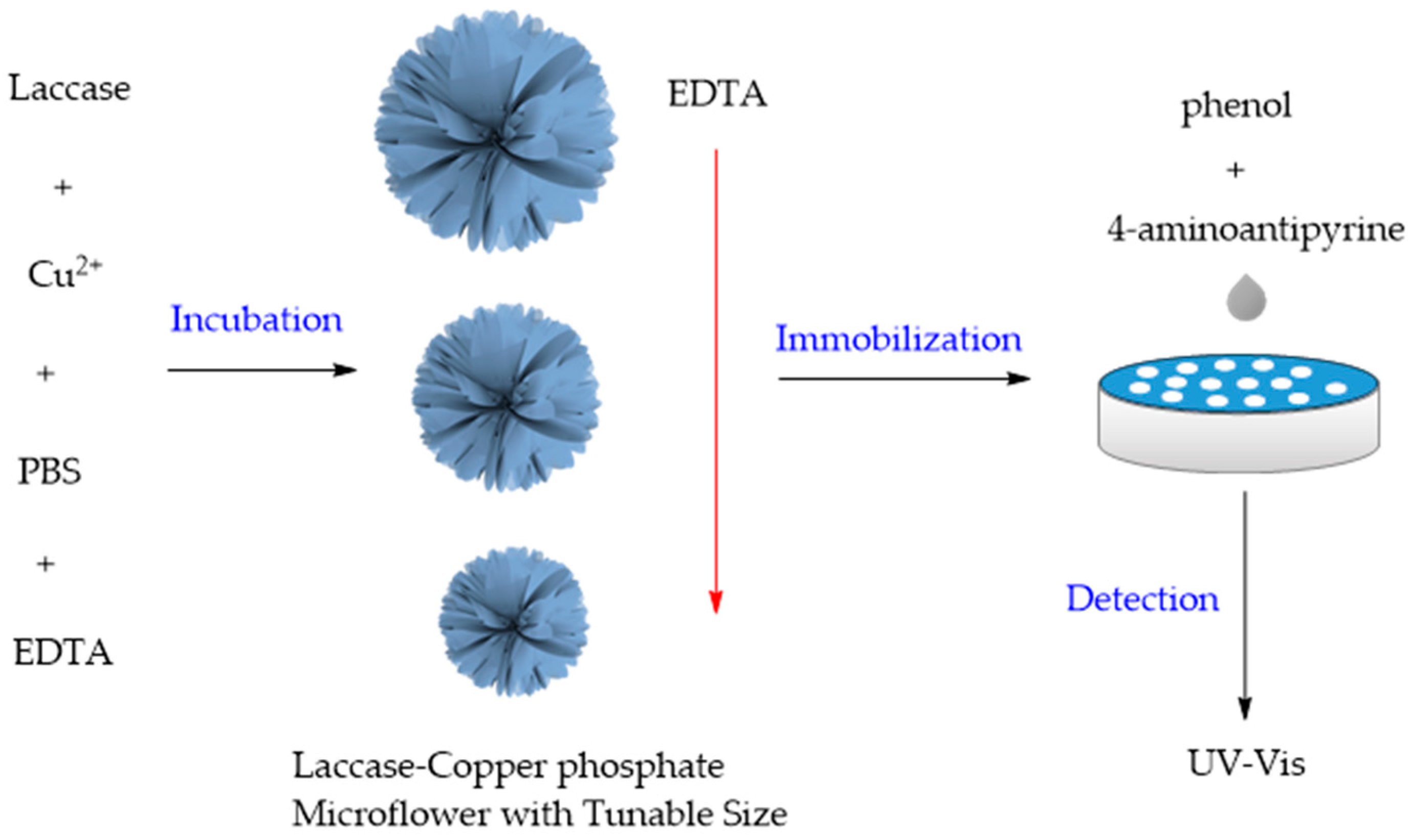 Applsci 14 03702 g003