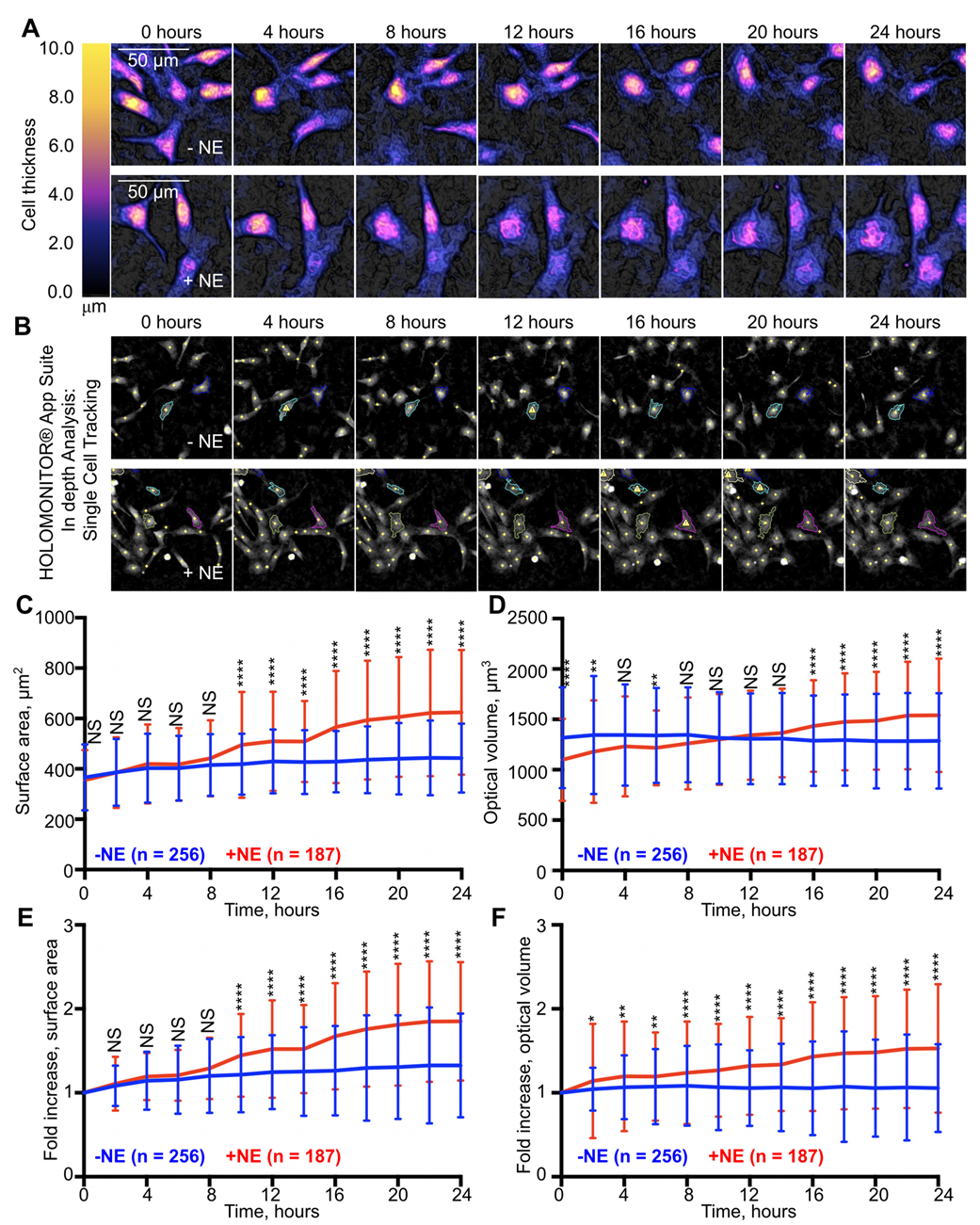 Applsci 14 03819 g002 Applsci 14 03819 g002