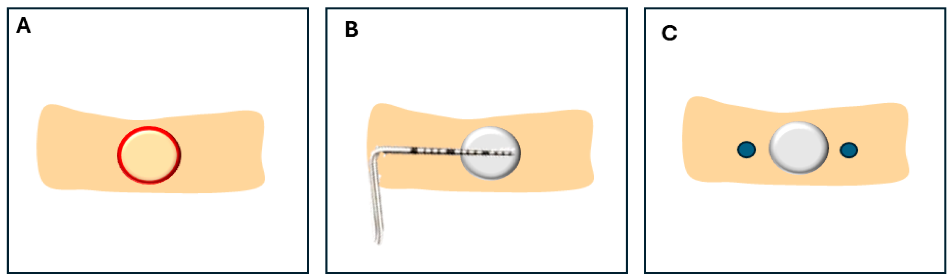 Applsci 14 03821 g002