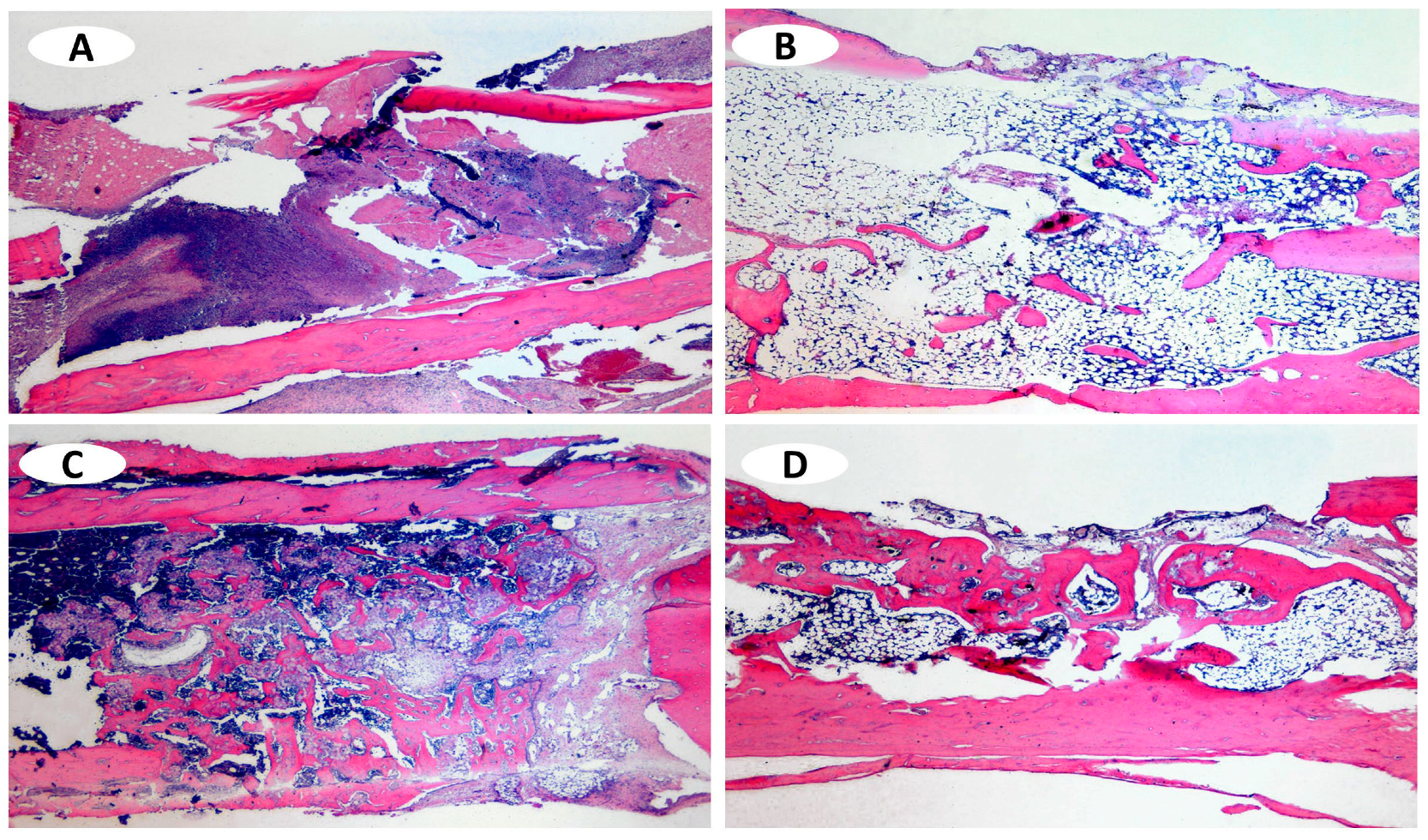 Applsci 14 03821 g003