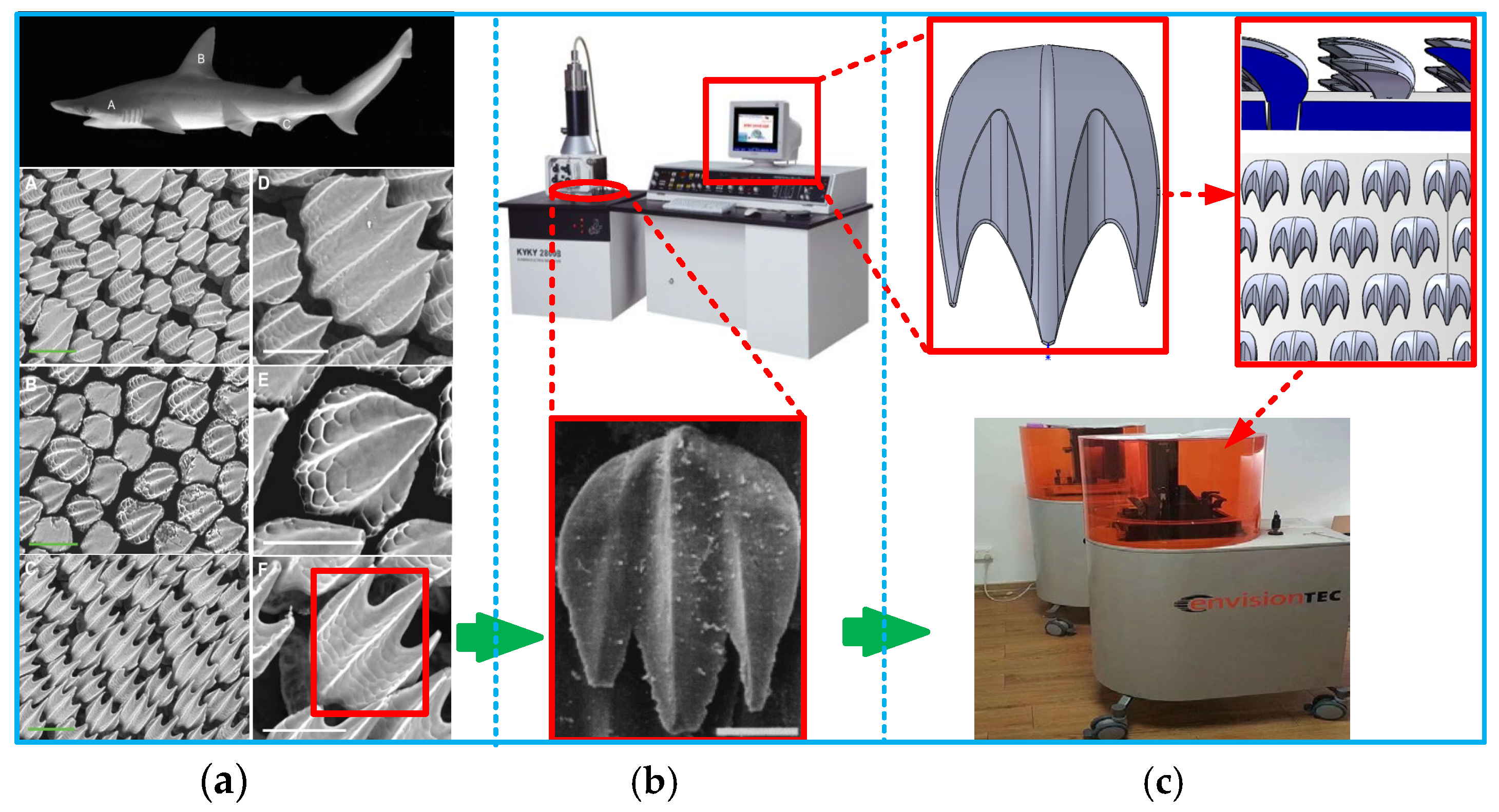 Applsci 14 03855 g001