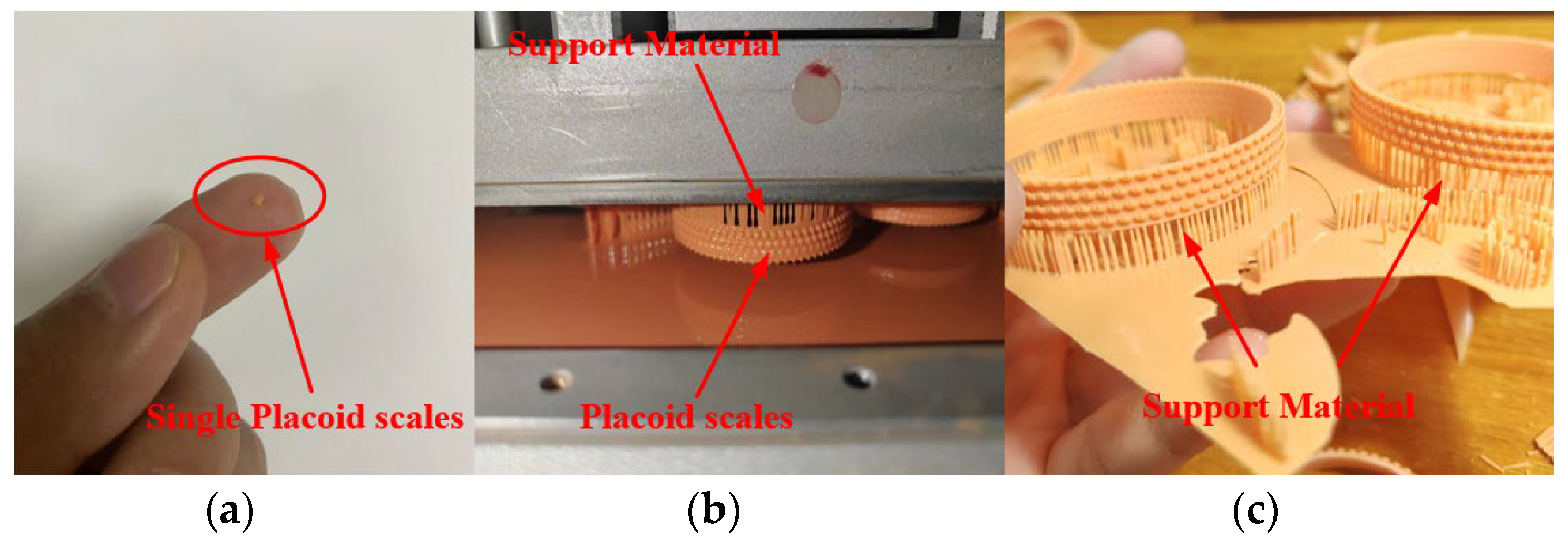 Applsci 14 03855 g002