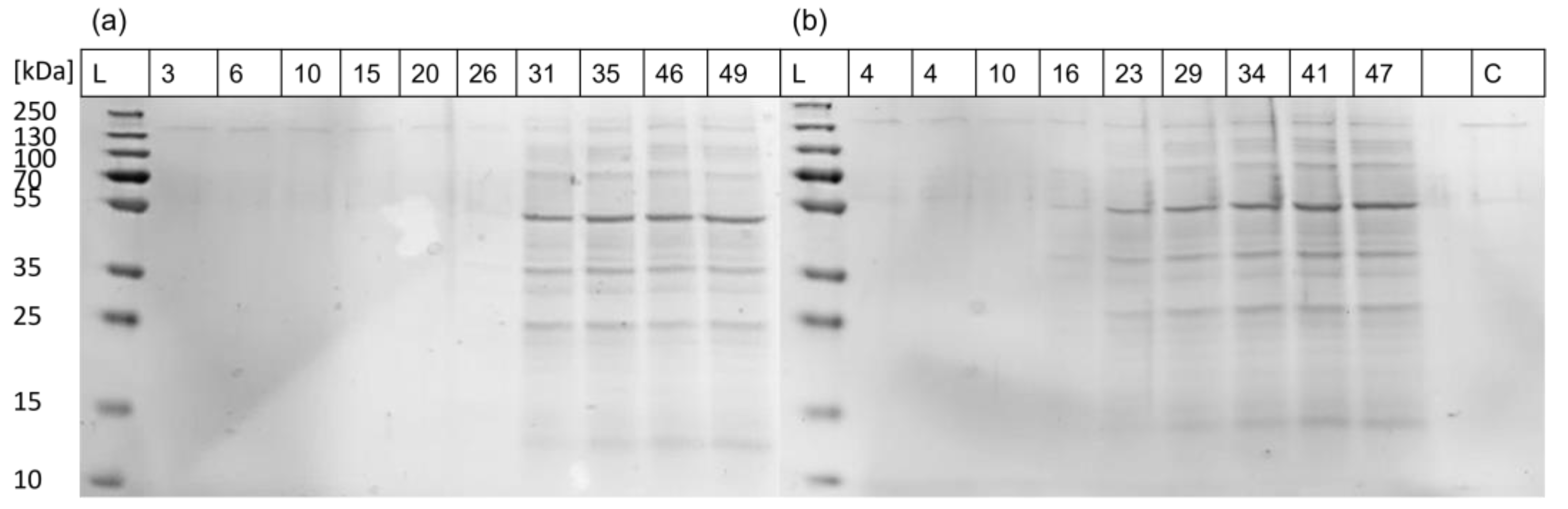 Applsci 14 03886 g009