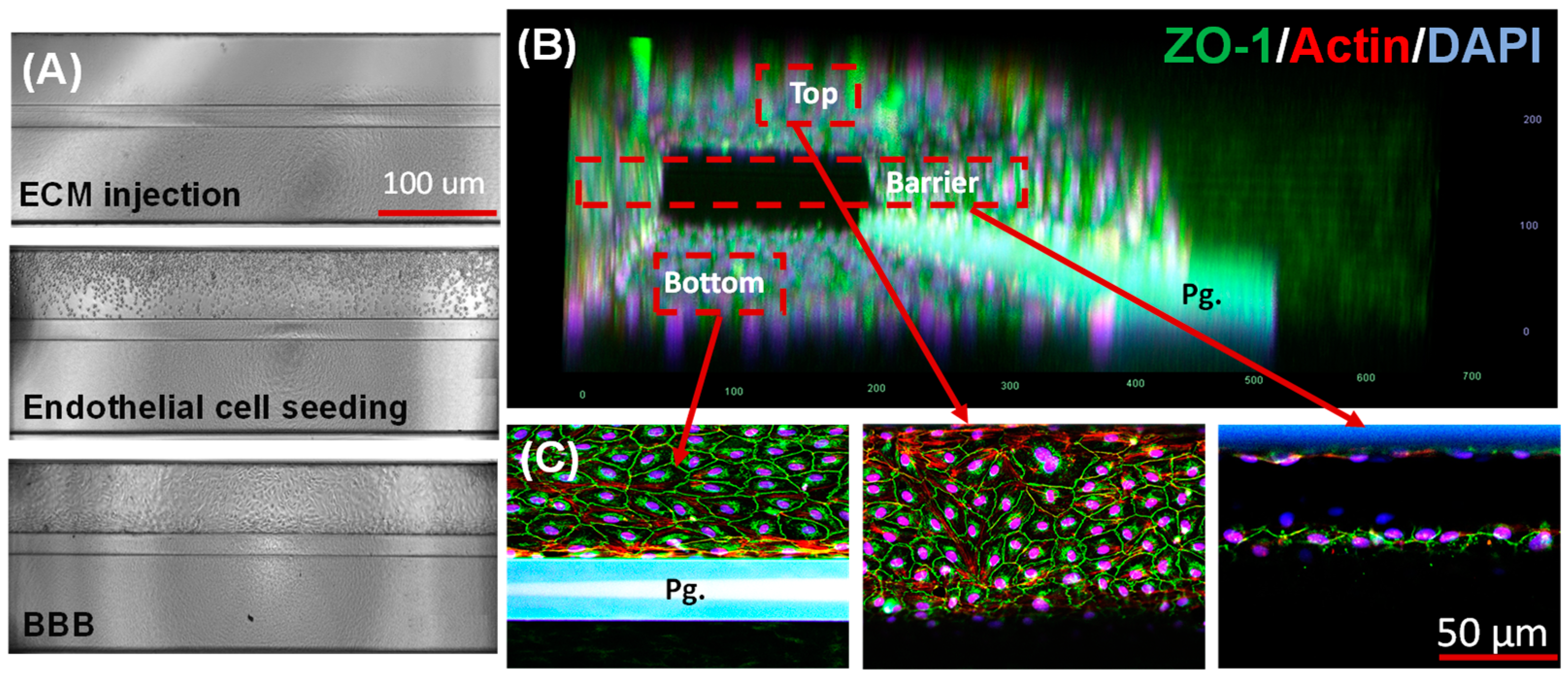 Applsci 14 03917 g002