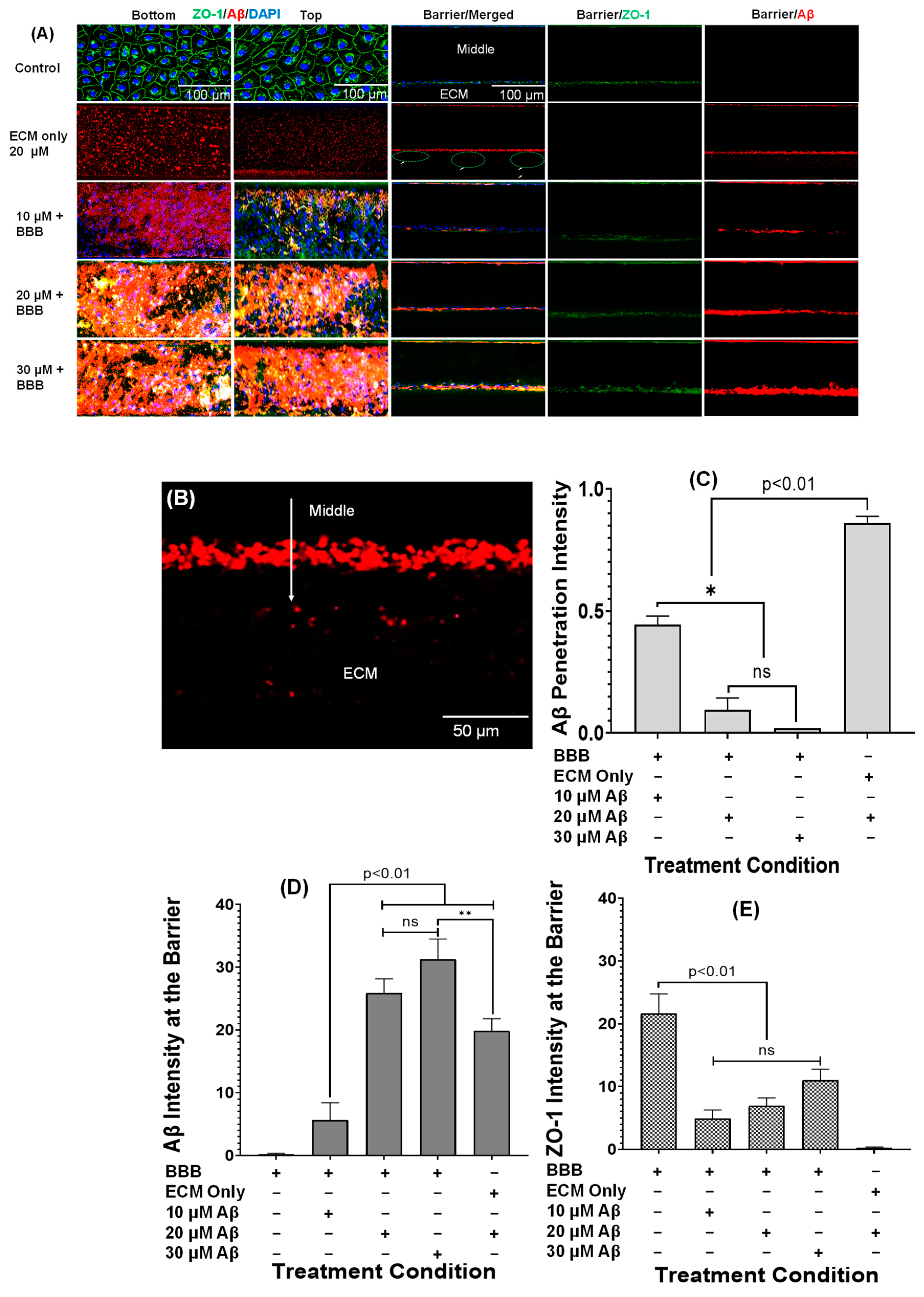 Applsci 14 03917 g004
