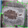 Applsci 14 03964 i002