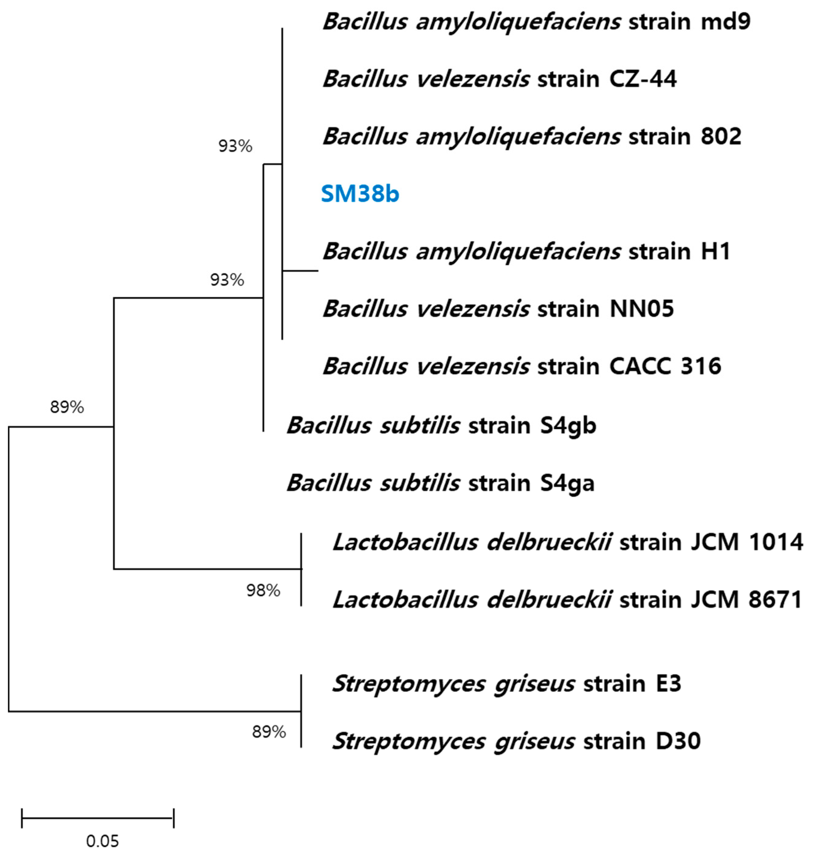 Applsci 14 04074 g001