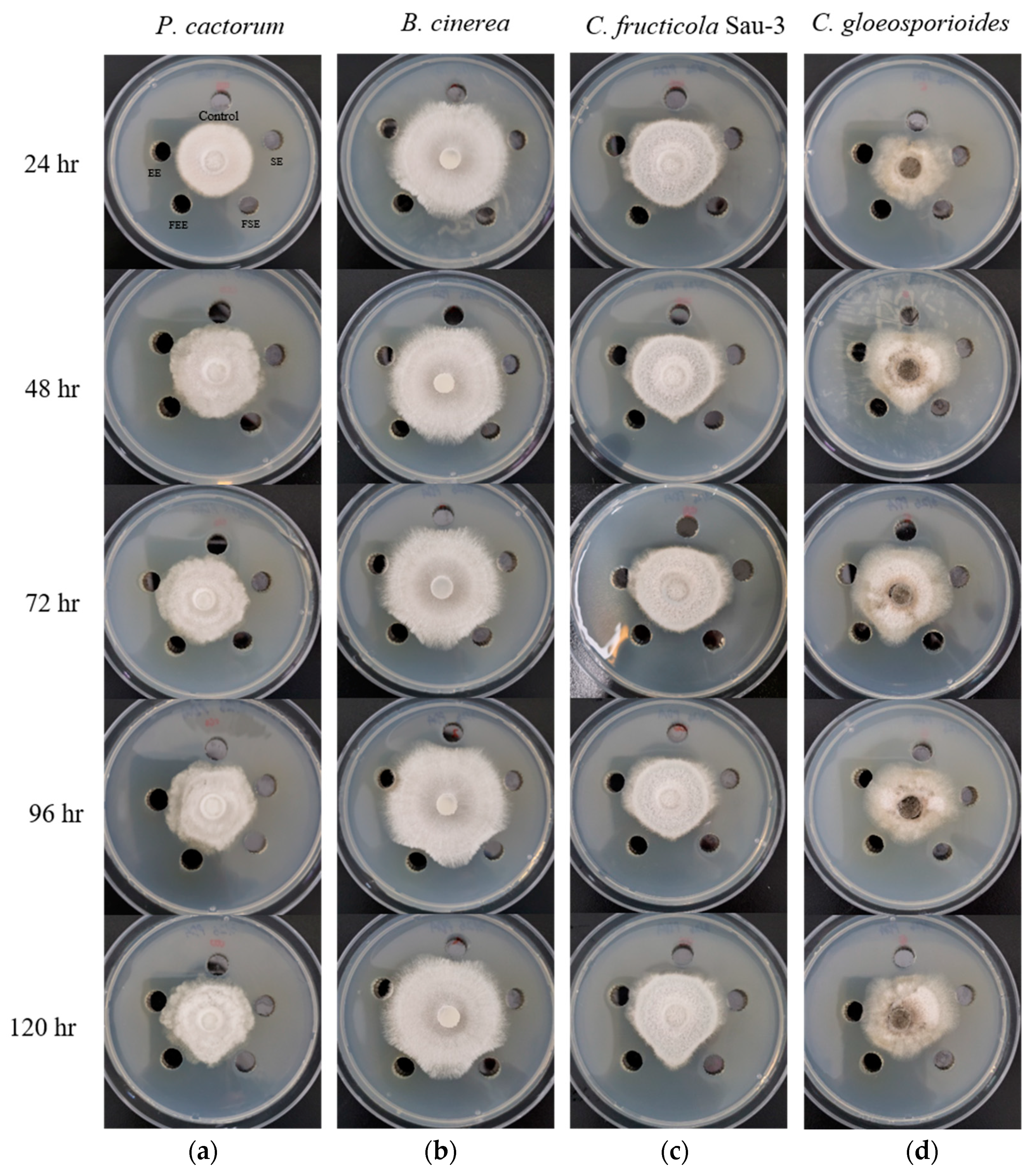 Applsci 14 04074 g002