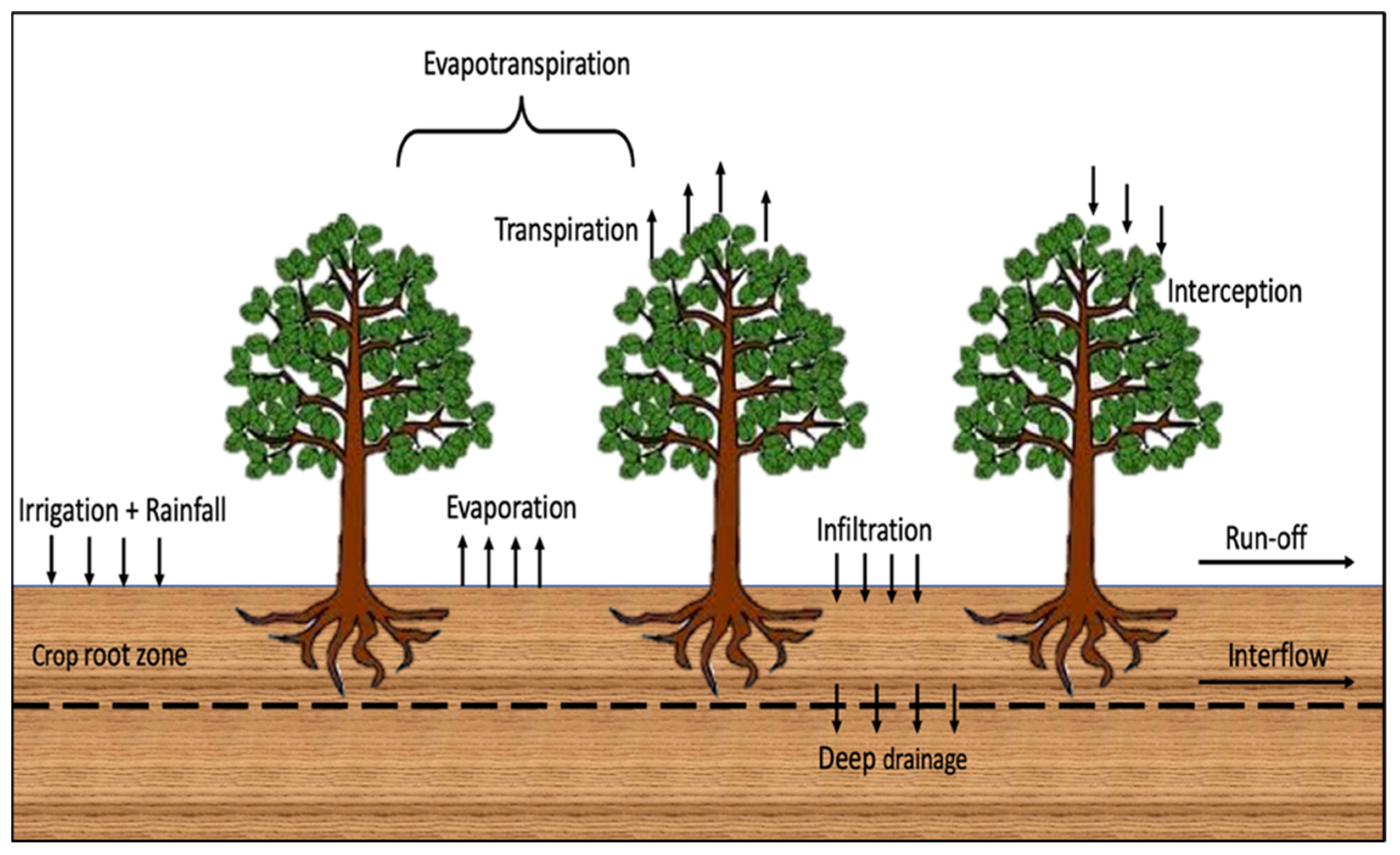 Applsci 14 04097 g006