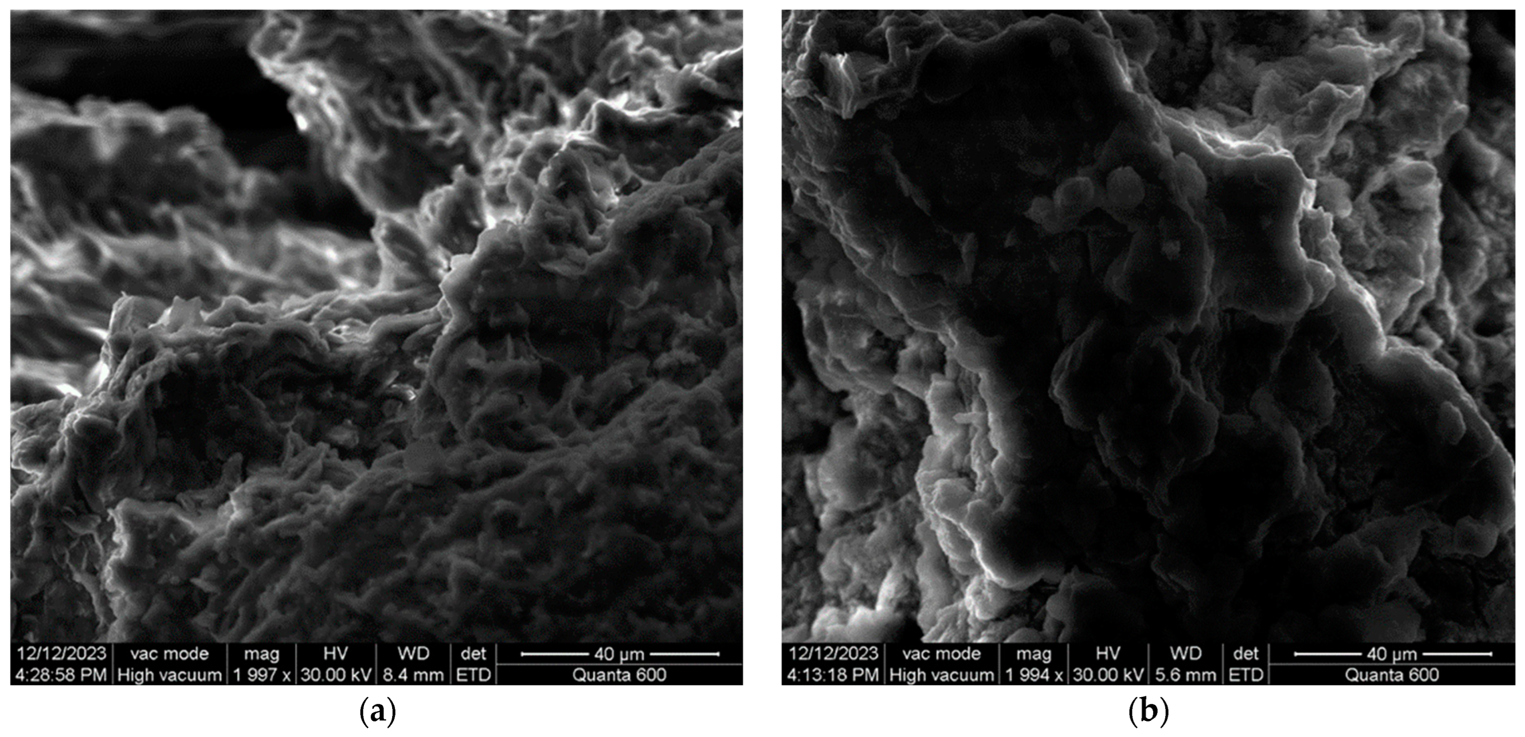 Applsci 14 04140 g013