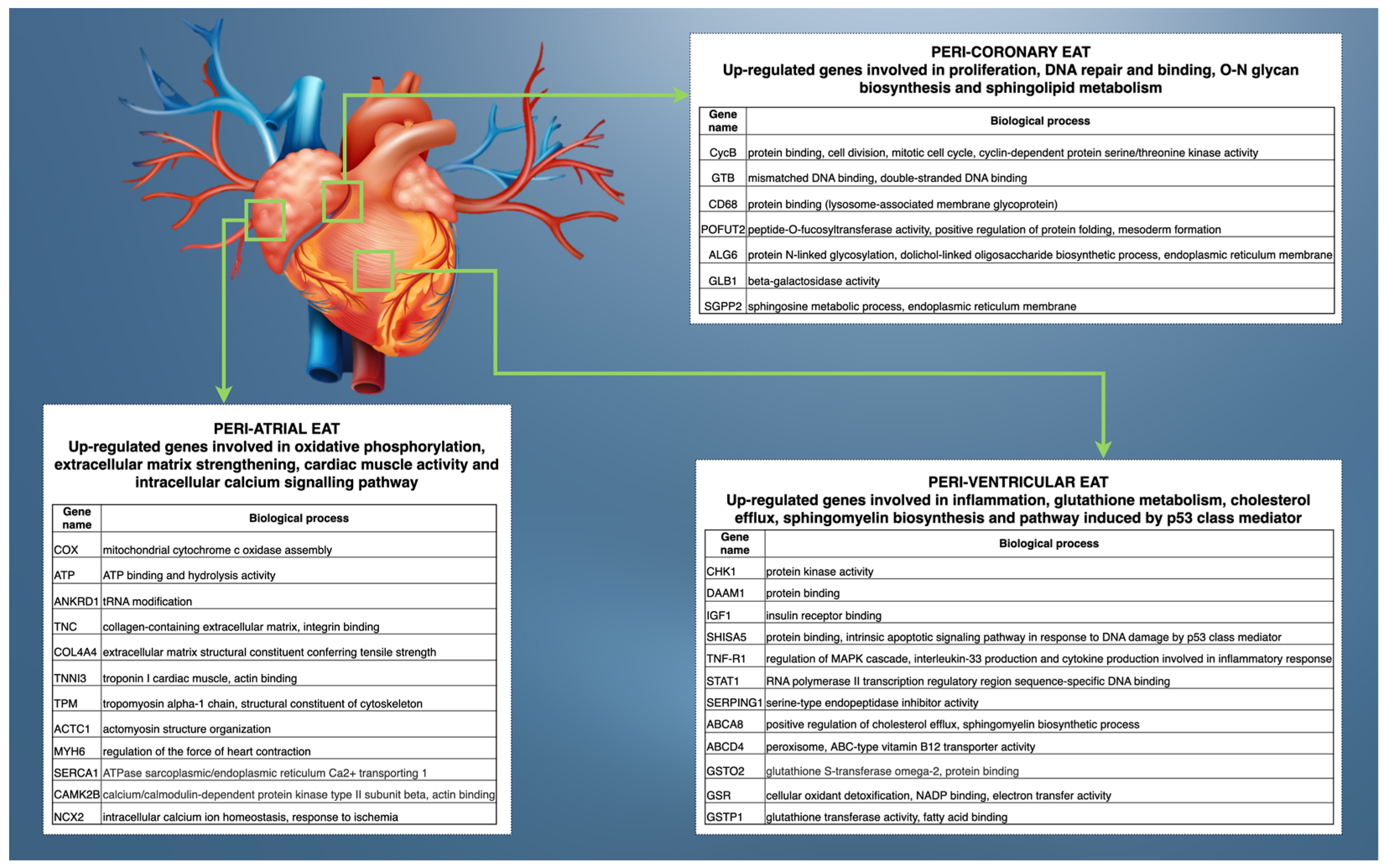 Applsci 14 04173 g001