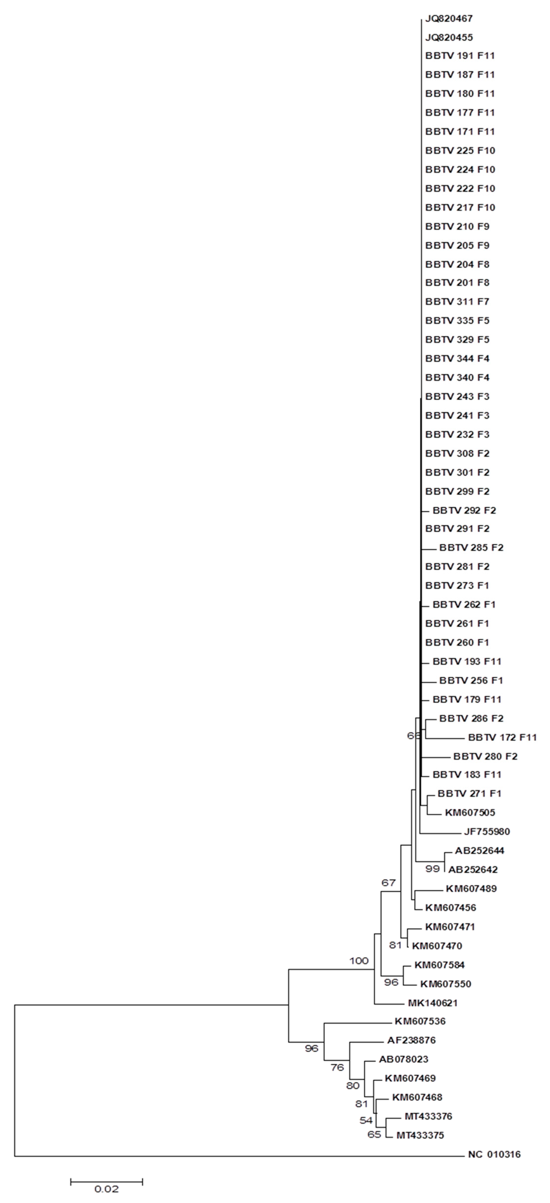 Applsci 14 04291 g003